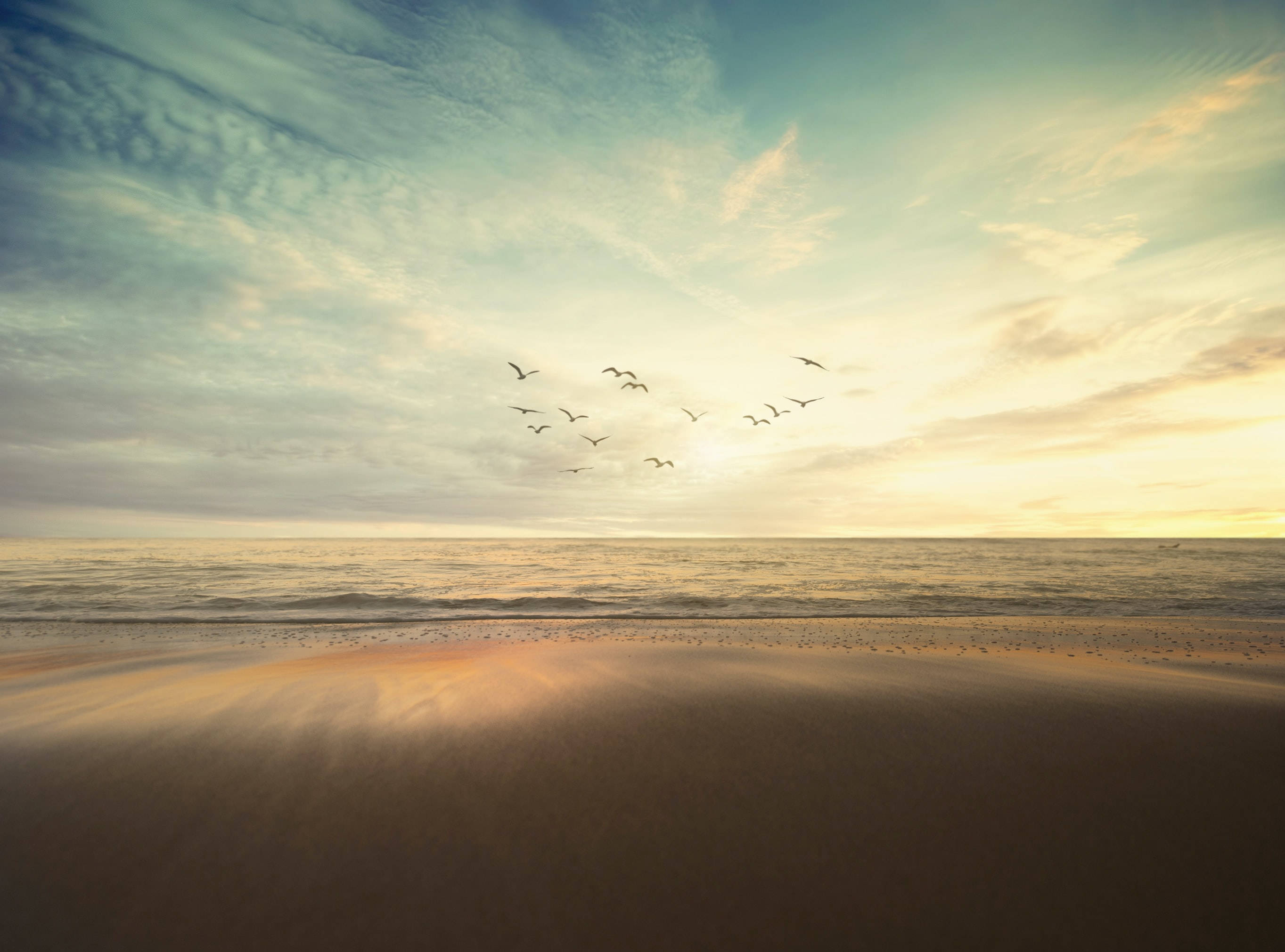 Beach Scene 桌布 壁紙 — 一群鳥在日落時分飛過寧靜的海灘，金色的光線反射在濕沙和平靜的海浪上。