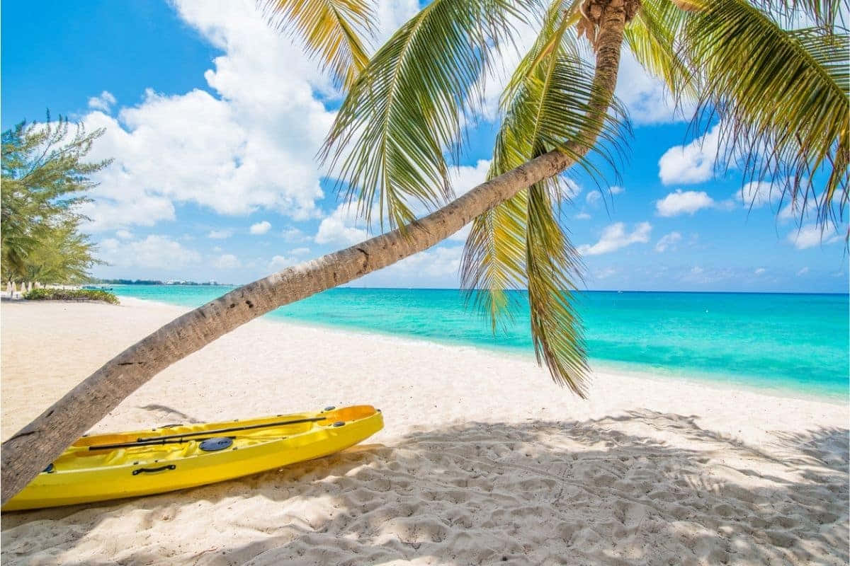 Jamaican Beach 桌布 壁紙 — 一艘亮黃色的皮划艇停放在白色沙灘上，位於一棵傾斜的棕櫚樹下，俯瞰著藍天白雲下的碧綠海洋。