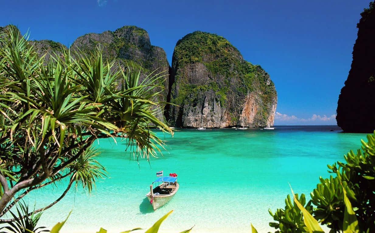 Thailand 桌布 壁紙 — 一艘長尾船漂浮在清澈碧綠的海水中，周圍環繞著茂密的綠色棕櫚葉和聳立的叢林覆蓋的石灰岩懸崖，天空湛藍明亮。