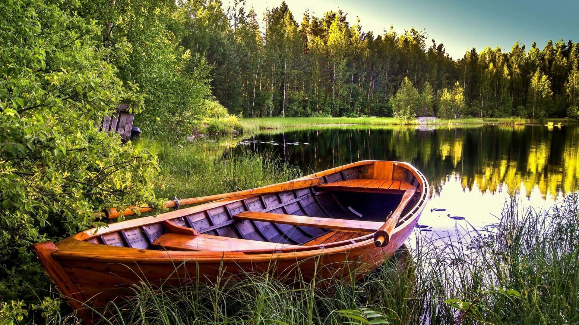 Boating 桌布 壁紙 — 一艘風化的木船在柔和的金色光線下，停靠在被茂密綠色森林環繞的平靜湖邊的高草叢中。