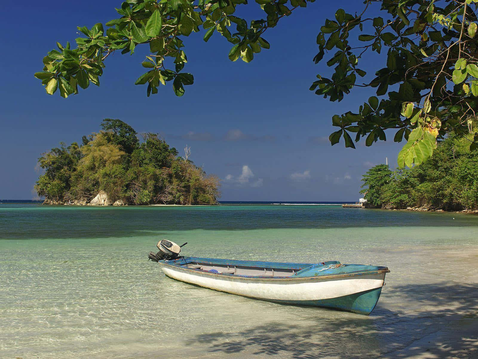 Jamaica 桌布 壁紙 — 一艘風化的藍白機動船在僻靜的熱帶海灘上，停泊在茂密綠樹枝葉下的淺藍綠色水中。