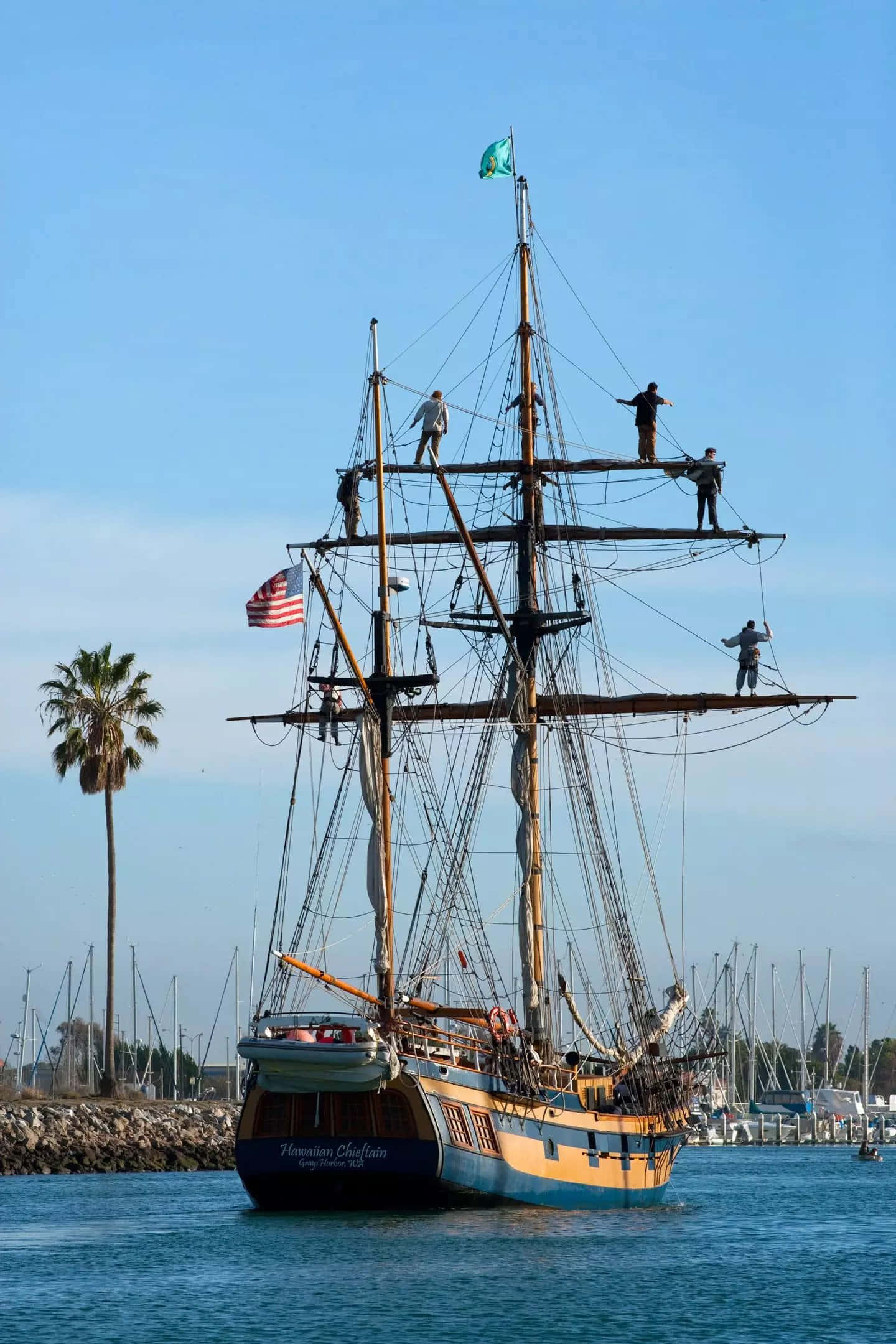 Ship 桌布 壁紙 — 一艘高桅帆船，船員在索具上，在晴朗藍天下，附近有棕櫚樹的港口中平靜航行。