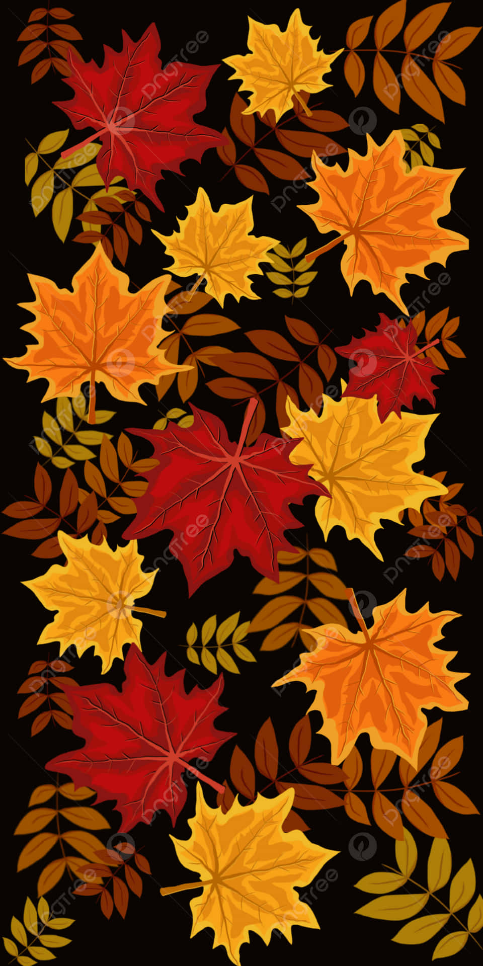 紅色、橙色和黃色的秋葉散落在黑色背景上