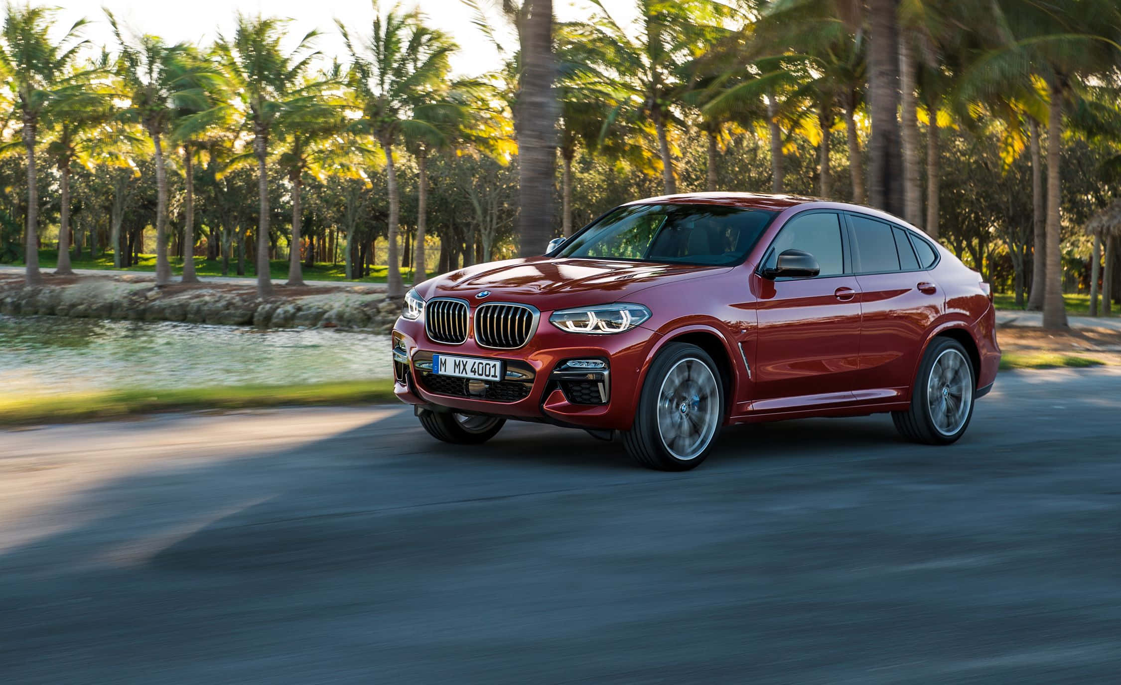 Bmw X4 桌布 壁紙 — 一輛亮紅色BMW X4在金色陽光下沿著棕櫚樹成蔭的水邊道路巡航。