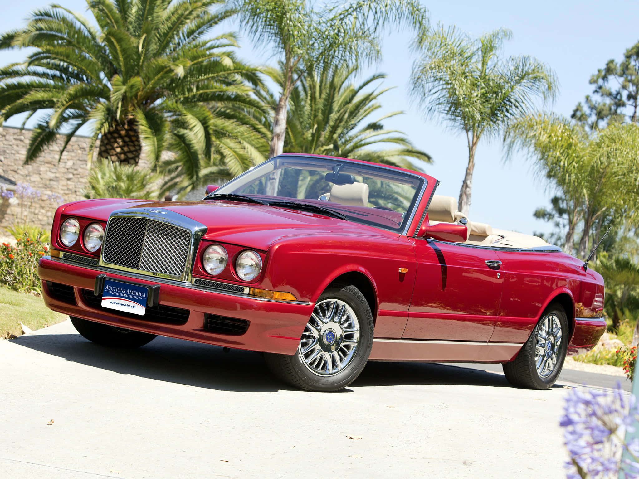 Bentley Azure 桌布 壁紙 — 一輛亮紅色賓利開篷車停泊在陽光普照的車道上，周圍環繞著棕櫚樹和鮮豔的花朵。