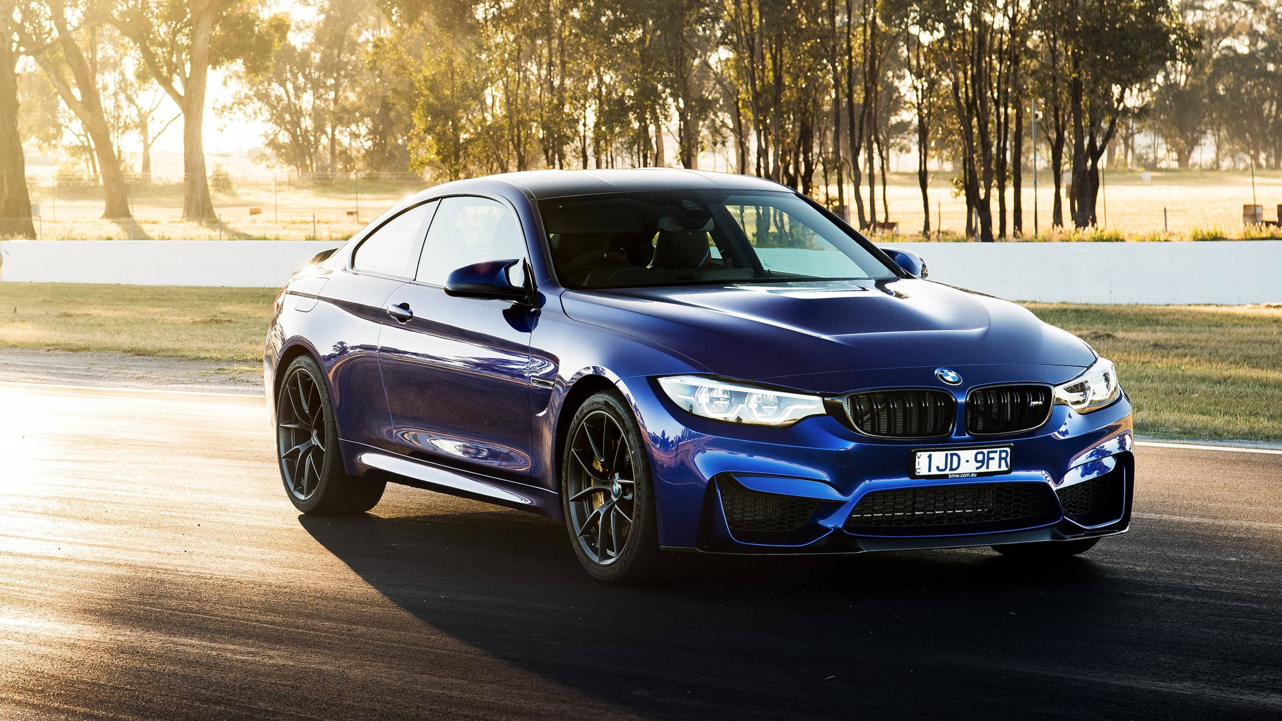 Sports Car 桌布 壁紙 — 一輛亮藍色BMW M4雙門跑車在陽光明媚的賽道上疾馳，背景有樹木和白色護欄。