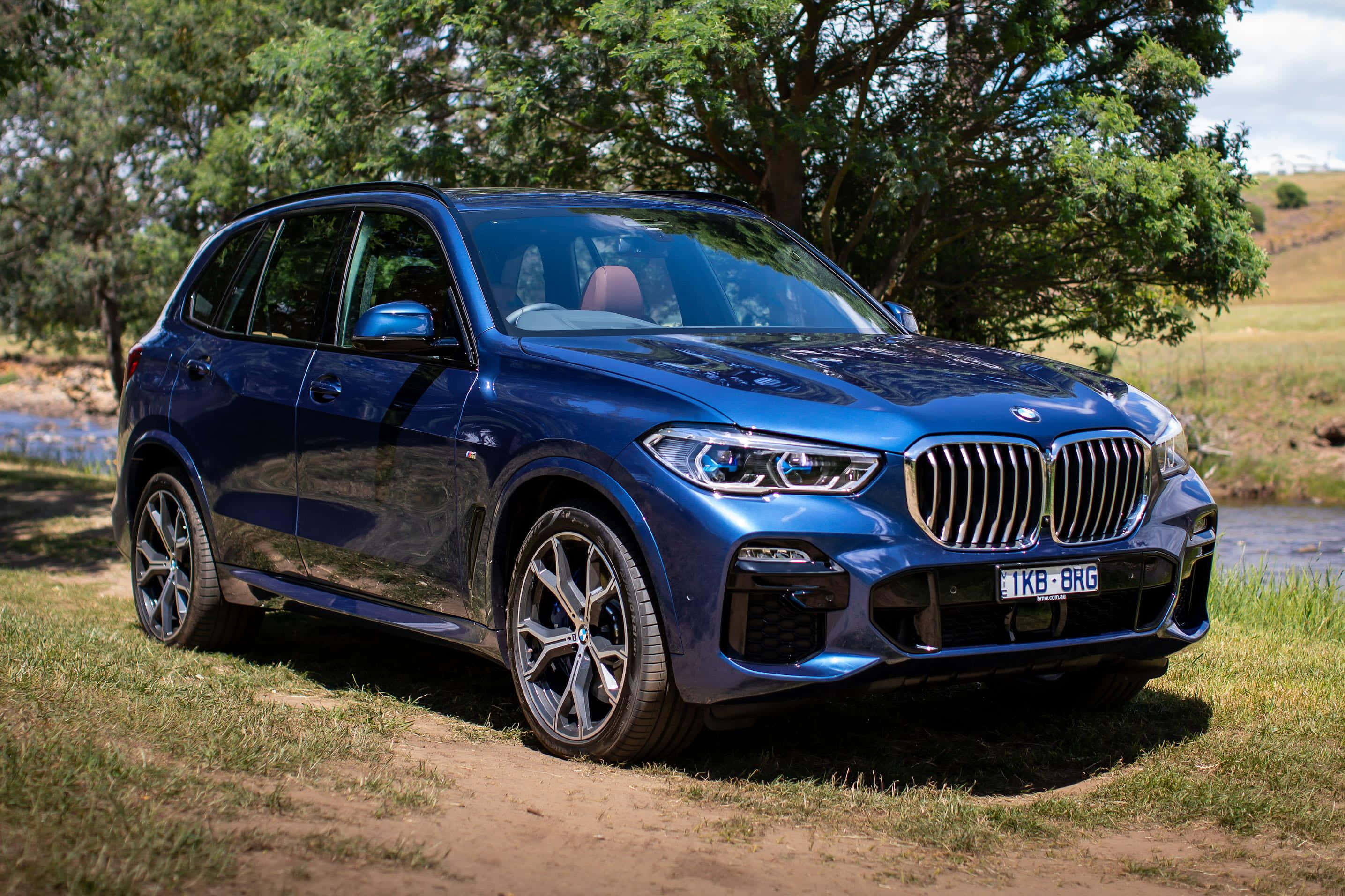 Bmw X5 桌布 壁紙 — 一輛亮藍色BMW X5 SUV停泊在河邊草地上，背景有樹木，光線明亮。