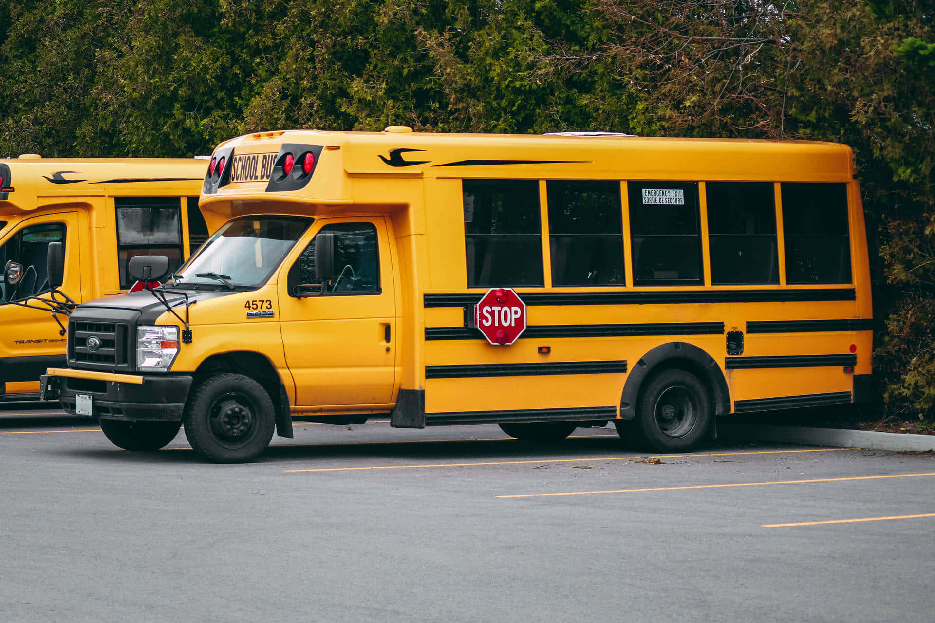 Yellow School Bus 桌布 壁紙 — 一輛亮黃色的校車帶有停車標誌和黑色條紋，停在一個被綠樹環繞的停車場。