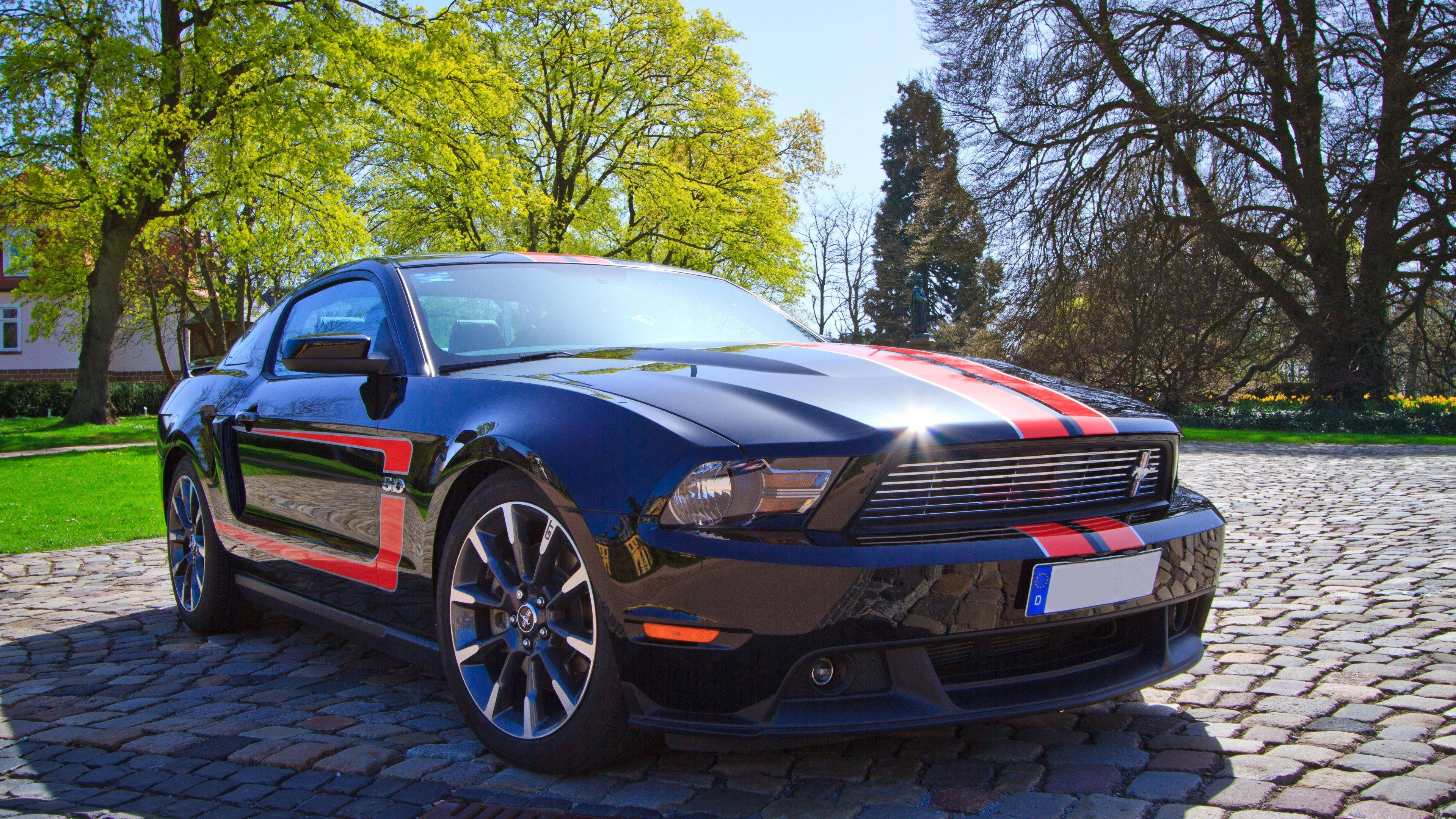 mustang HD 桌布 壁紙 — 一輛亮黑色福特野馬，帶有紅色賽車條紋，停在陽光明媚的鵝卵石車道上，周圍綠樹成蔭。