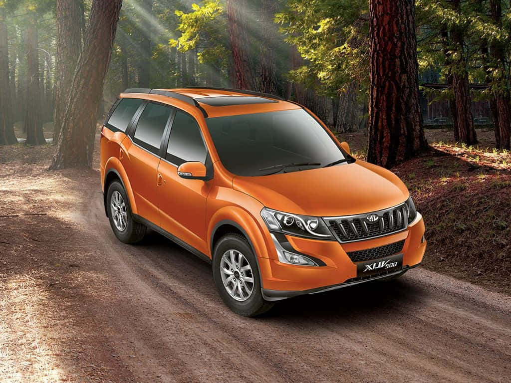 Mahindra 桌布 壁紙 — 一輛充滿活力的橙色SUV在陽光斑駁的森林泥路上行駛，周圍環繞著高大的樹木。