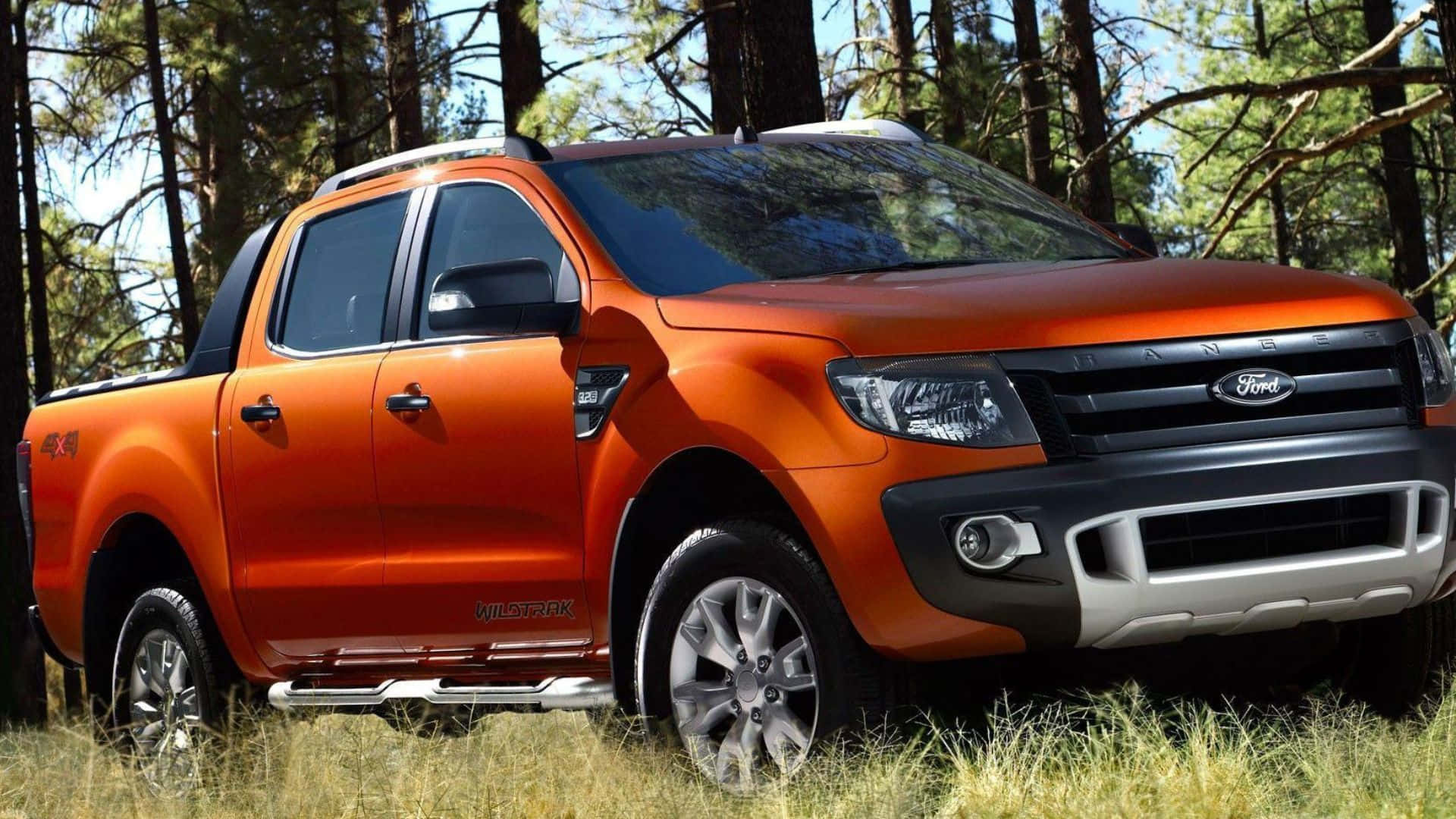 Ford Ranger 桌布 壁紙 — 一輛充滿活力的橙色福特 Ranger Wildtrak 農夫車停泊在陽光明媚的松樹林中，周圍長滿高高的草。
