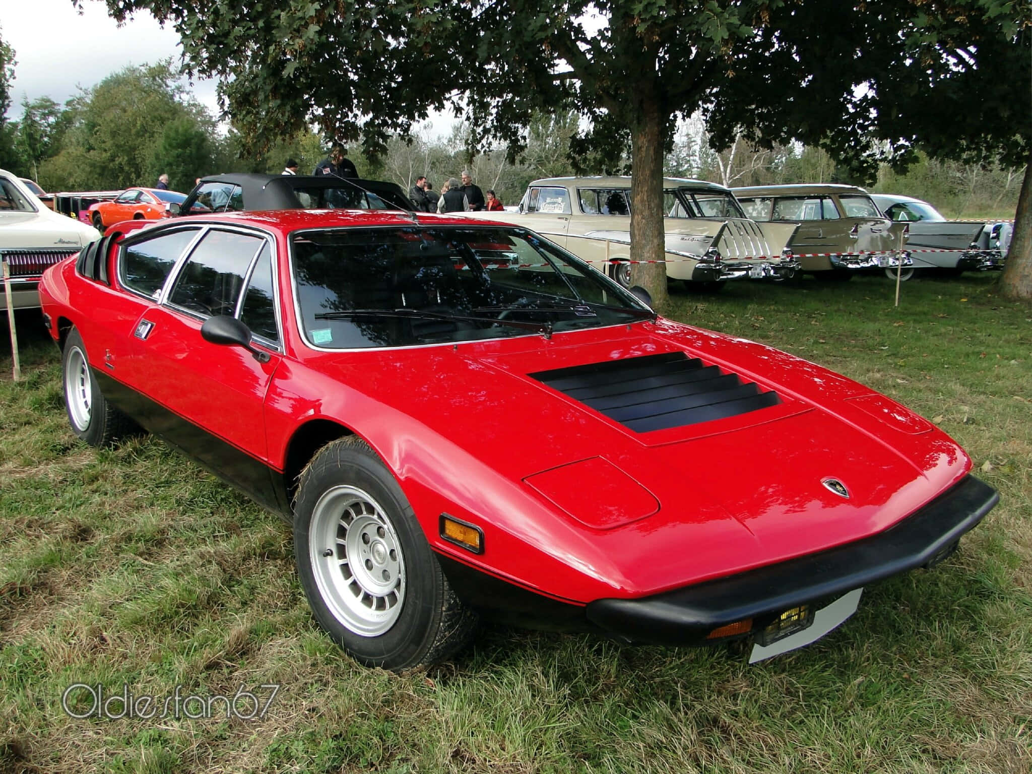 Lamborghini Urraco 桌布 壁紙 — 一輛充滿活力的紅色經典跑車，帶有黑色點綴，停在戶外車展的草地上，周圍是枝葉茂密的樹木。