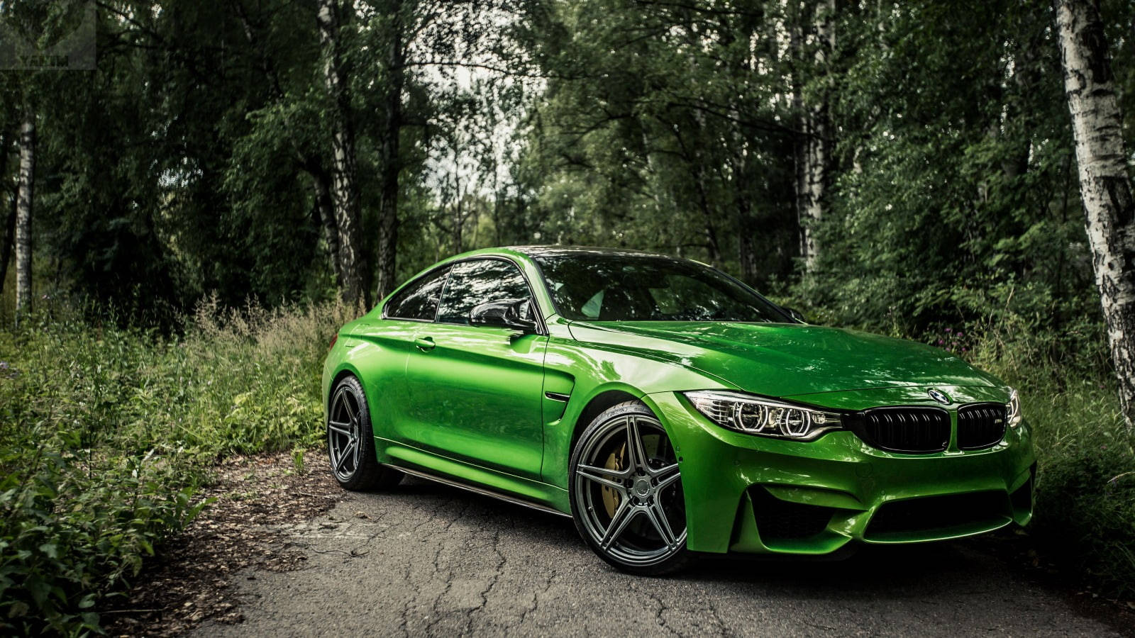 Sports Car 桌布 壁紙 — 一輛充滿活力的綠色BMW M4雙門轎跑車在長滿苔蘚的林間小徑上，於斑駁的森林光線下閃閃發光。