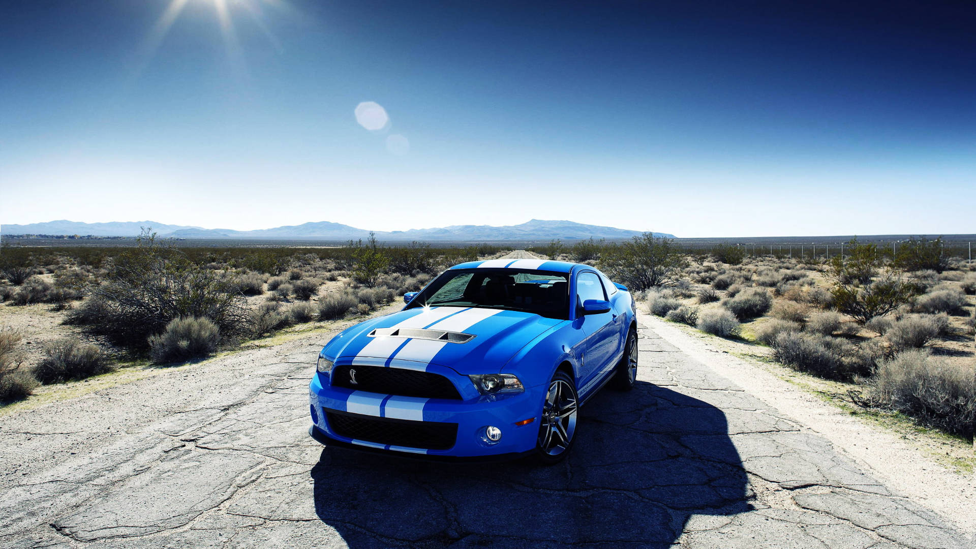 太陽 桌布 壁紙 — 一輛充滿活力的藍色Shelby Mustang，帶有白色賽車條紋，停在明亮的陽光下、佈滿裂紋的沙漠道路上。