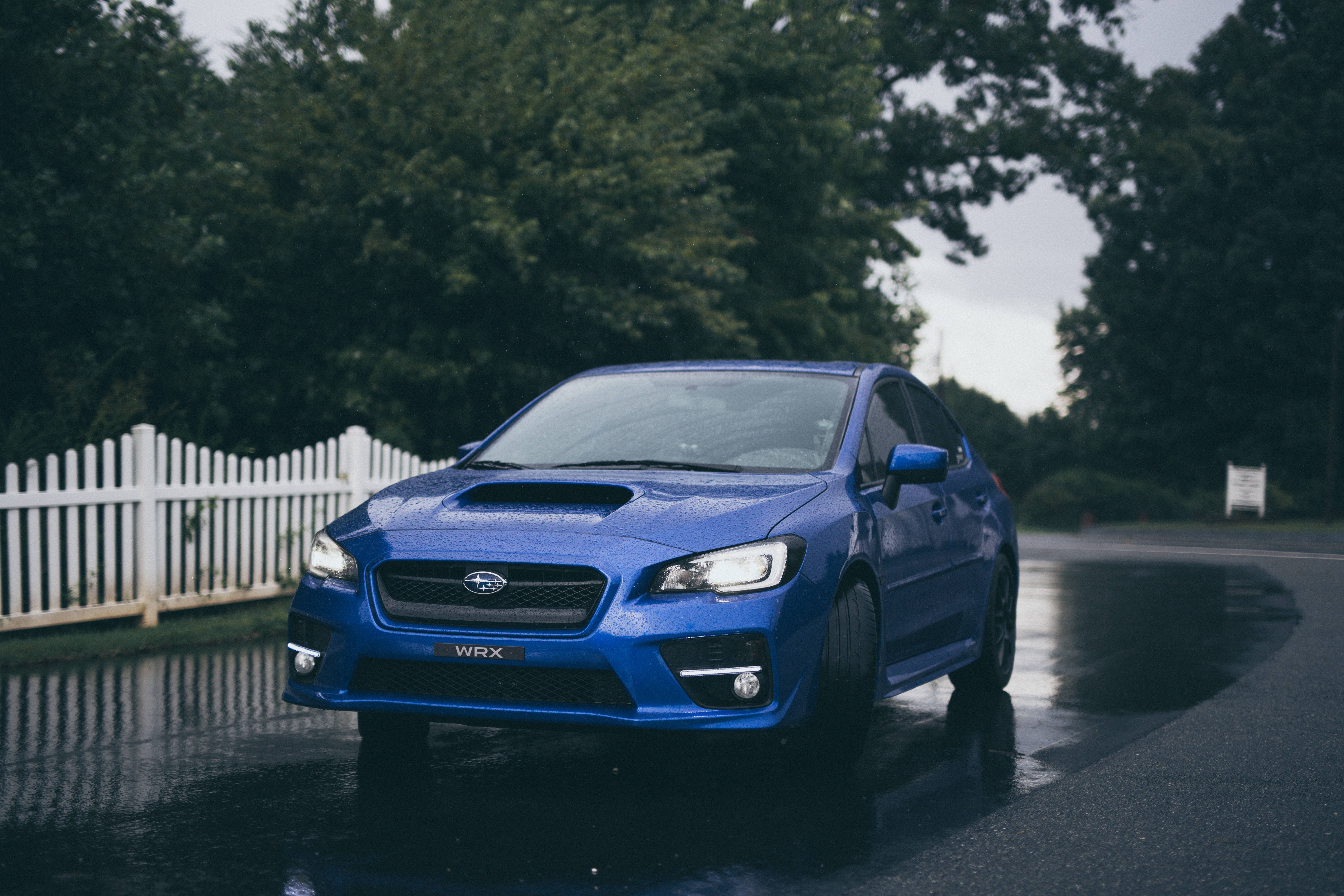 Sports Car 桌布 壁紙 — 一輛充滿活力的藍色Subaru WRX跑車在潮濕的道路上閃閃發光，背景是陰天、茂密的綠色樹木和白色柵欄。