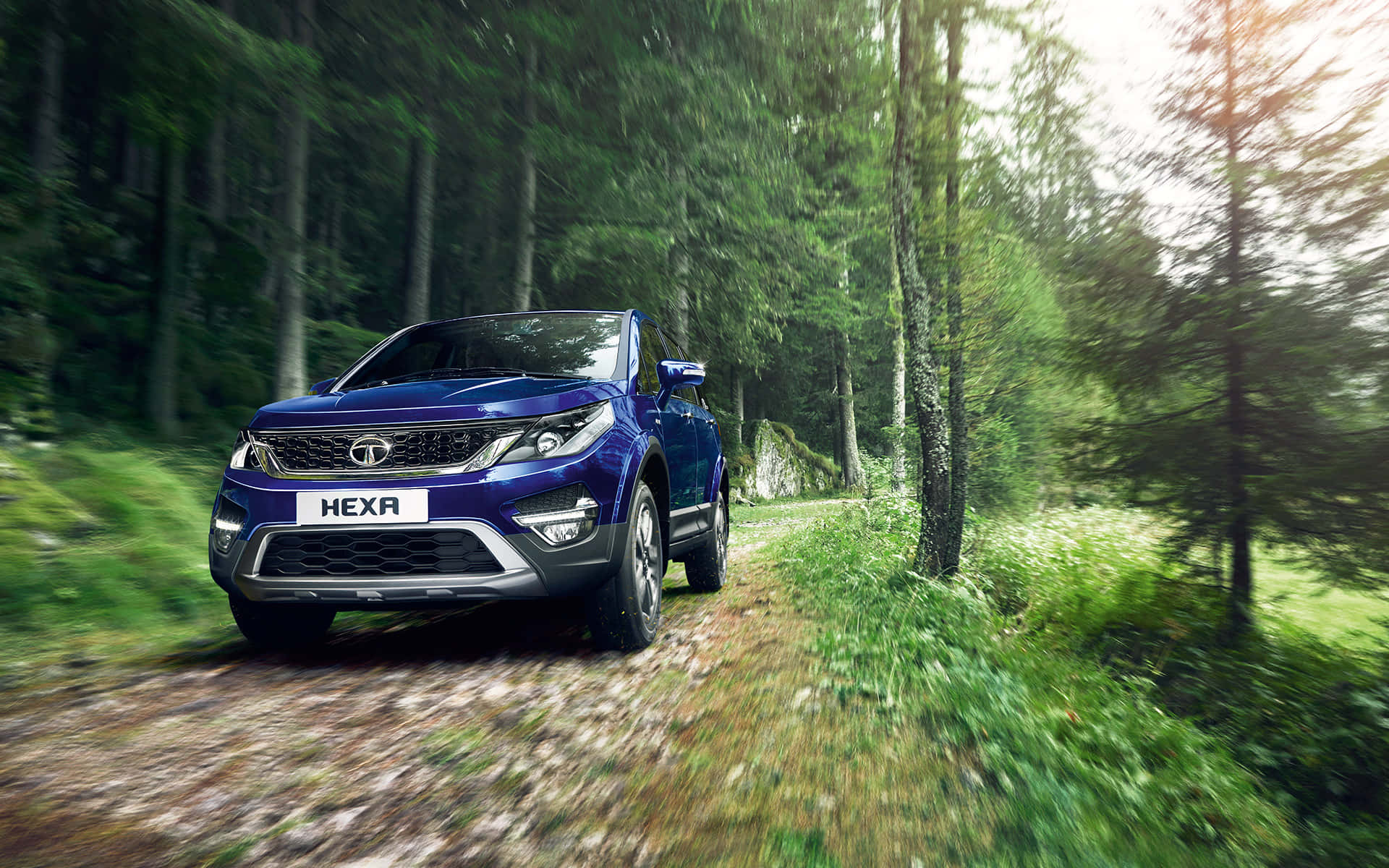Tata Motors 桌布 壁紙 — 一輛充滿活力的藍色Tata Hexa SUV在森林小徑上奔馳，伴隨著動態模糊和透過高大綠樹篩落的斑駁陽光。