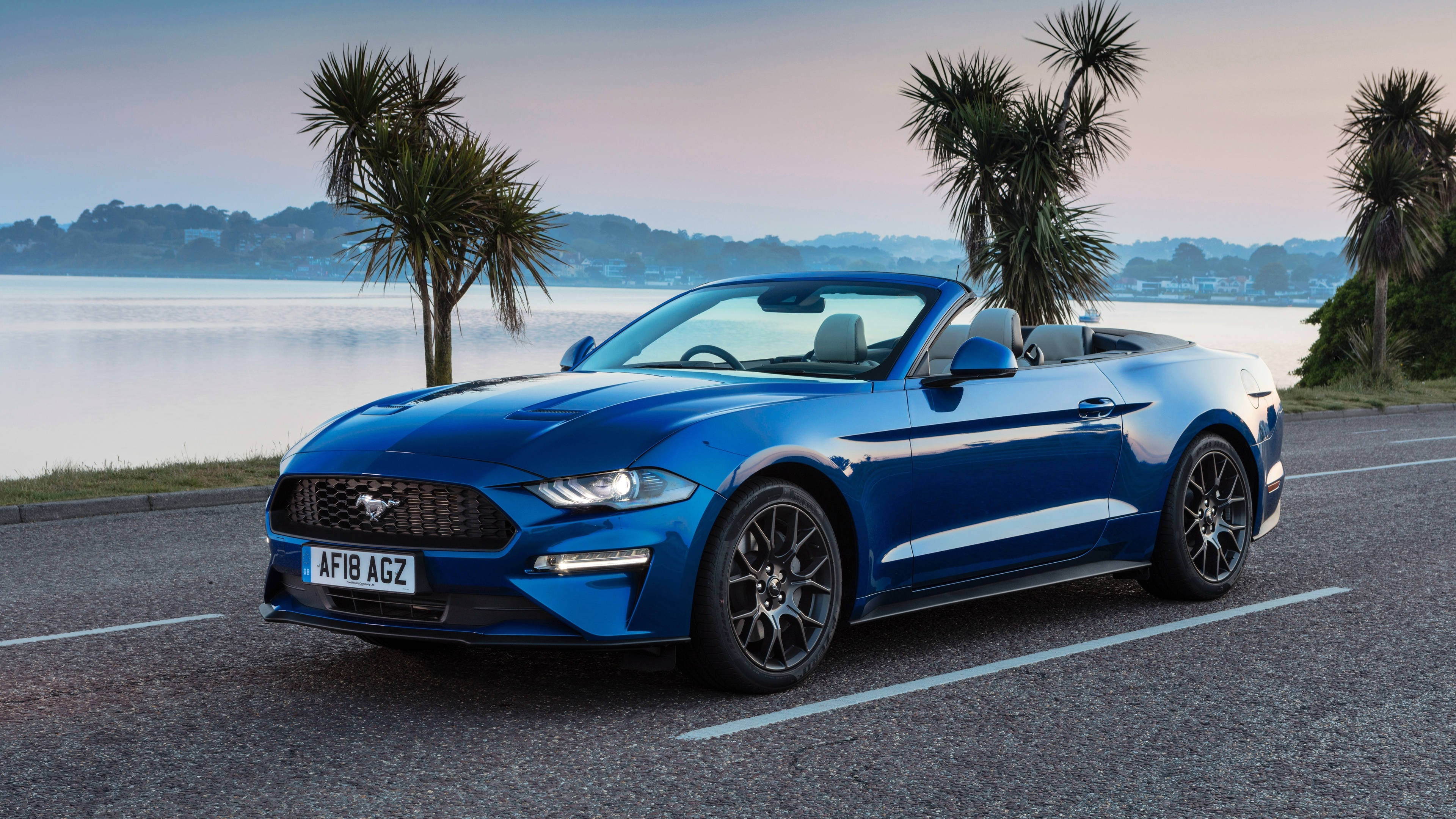 mustang HD 桌布 壁紙 — 一輛充滿活力的藍色敞篷跑車停在海濱，棕櫚樹在黃昏時分。