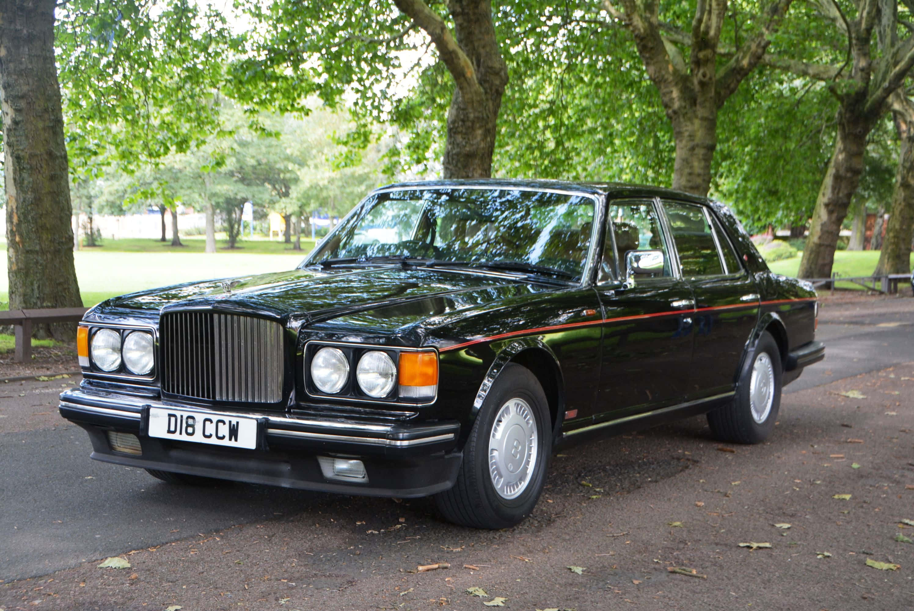 Bentley Turbo R 桌布 壁紙 — 一輛光亮的黑色賓利 Turbo R 房車停泊在陽光普照、綠樹成蔭的公園小徑上。
