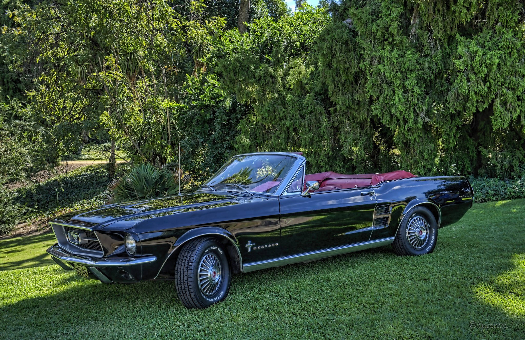 Vintage Car 桌布 壁紙 — 一輛光澤黑色經典野馬敞篷車，紅色內飾，停在鮮綠色草地上，陽光明媚。