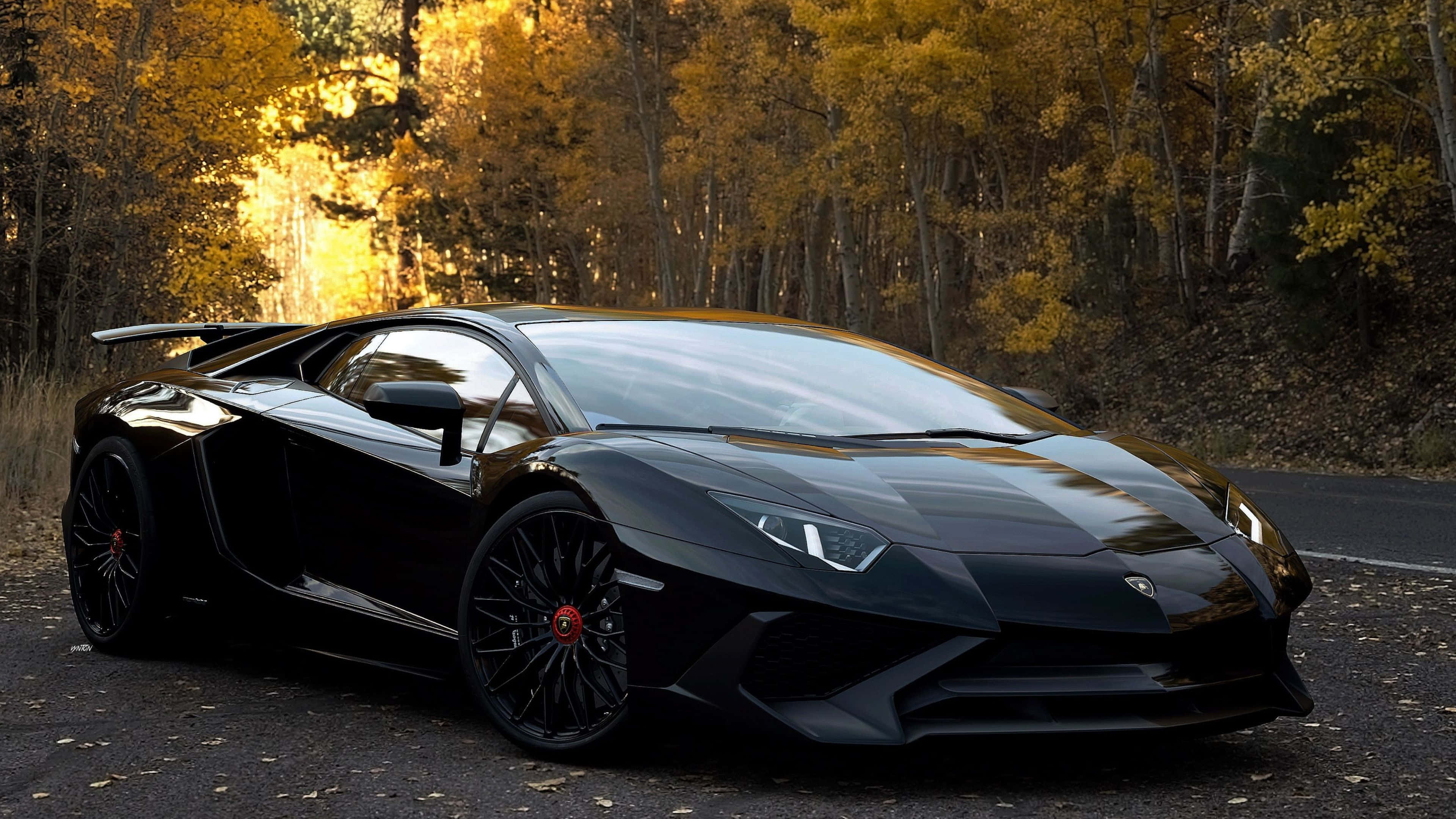 林寶堅尼 4K 桌布 壁紙 — 一輛型格黑色林寶堅尼 Aventador 停泊在森林道路上，周圍是金黃色的秋樹。