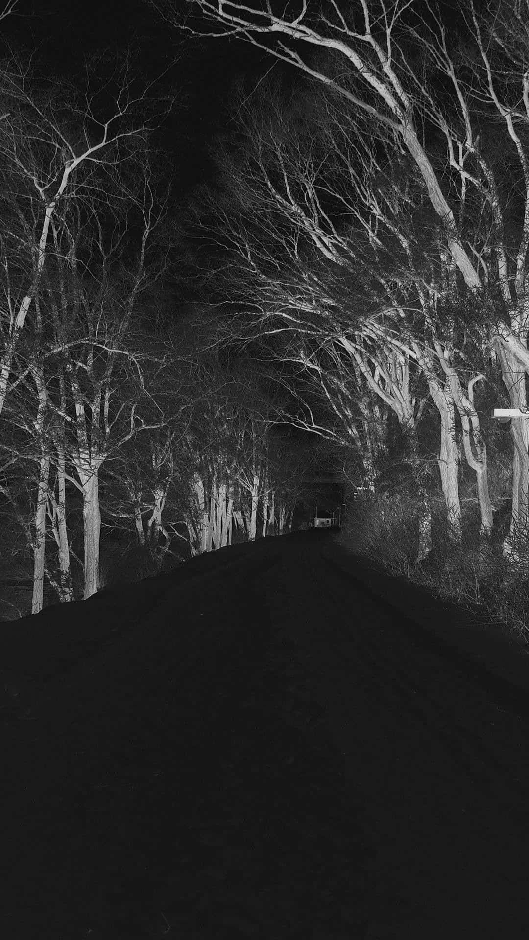 Unsettling 桌布 壁紙 — 一輛孤獨的汽車在沒有星星的夜空下，沿著一條兩旁光禿樹木的黑暗蜿蜒道路行駛。