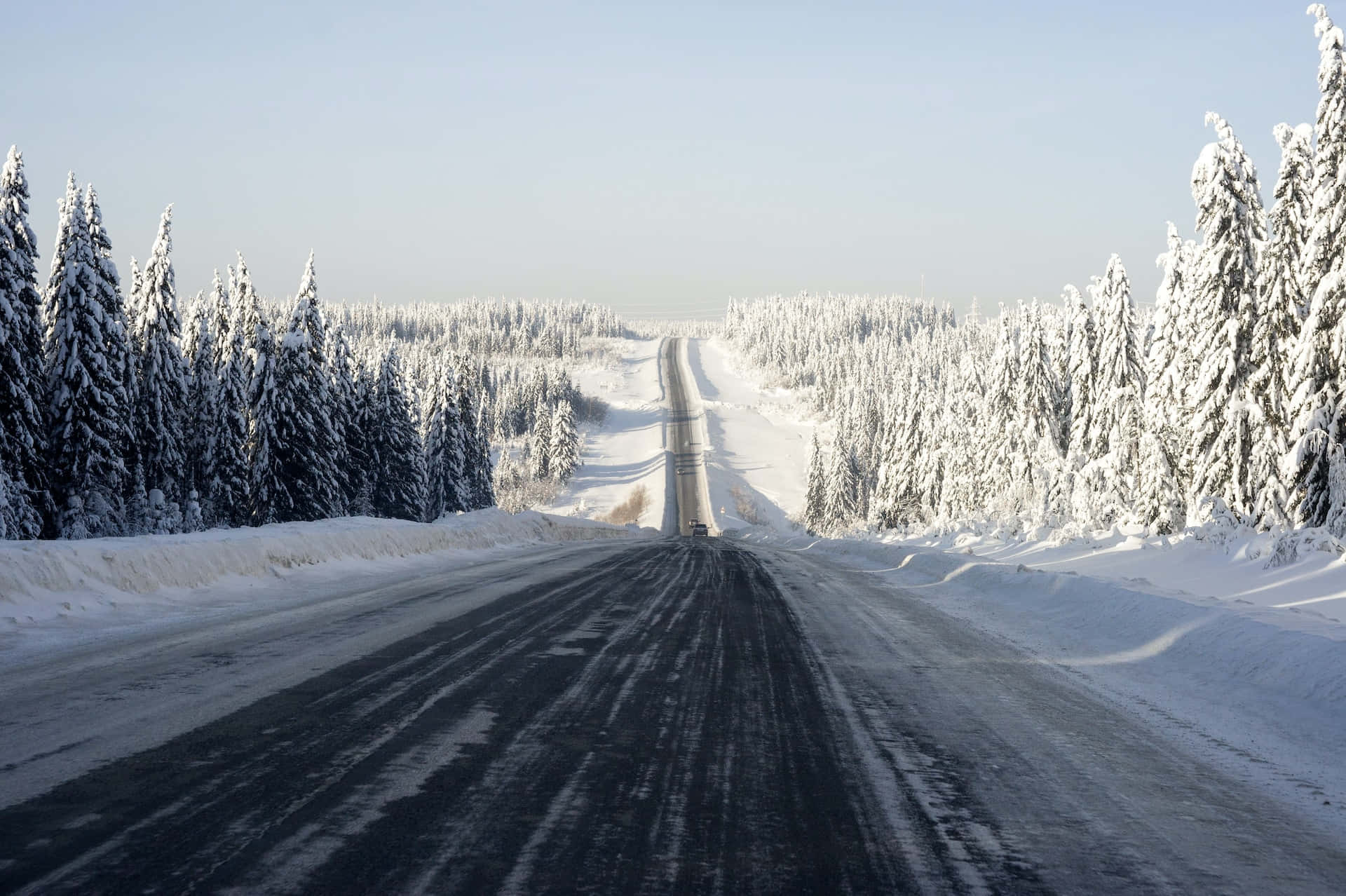 Captivating 桌布 壁紙 — 一輛孤獨的汽車在白雪覆蓋的道路上行駛，兩旁是茂密的常綠森林，頭頂是晴朗的冬日天空。
