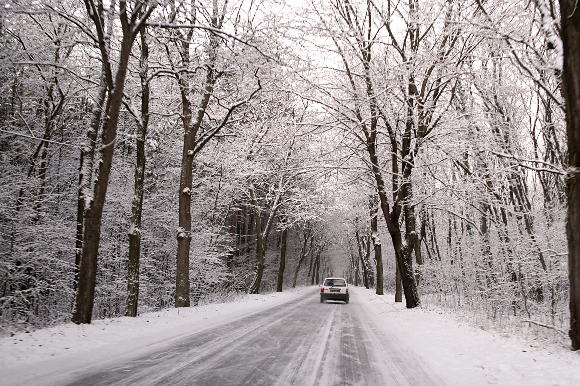 Snowy Road 桌布 壁紙 — 一輛孤獨的汽車在陰天下行駛在一條被霜凍樹木環繞的積雪森林道路上。