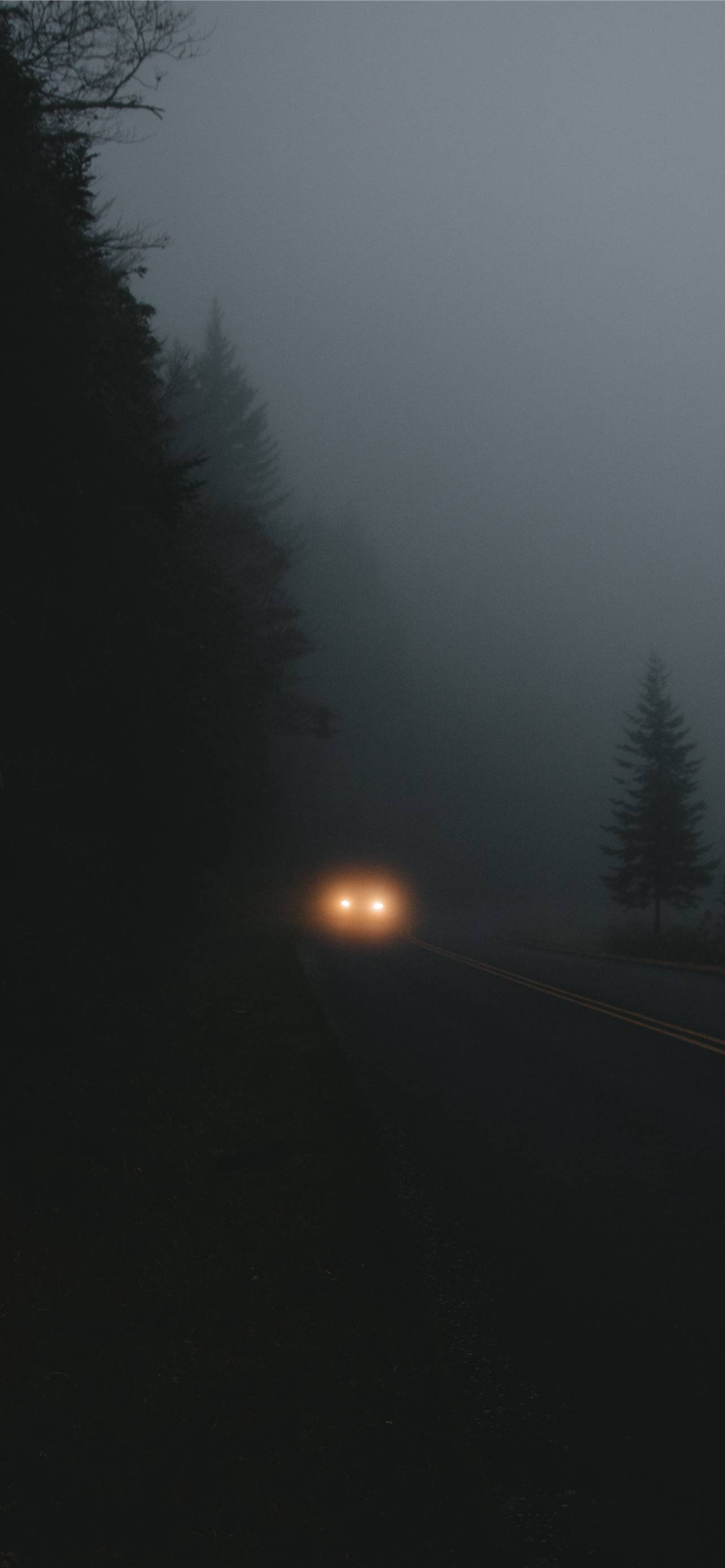 道路 桌布 壁紙 — 一輛孤獨的汽車車頭燈在夜晚穿透濃霧，照亮黑暗的森林道路。