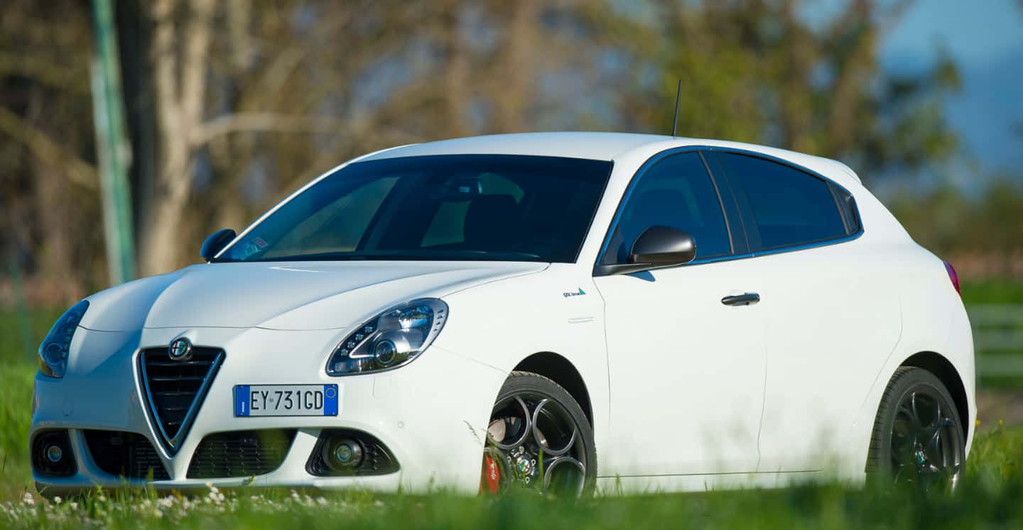 Alfa Romeo Giulietta 桌布 壁紙 — 一輛完美無瑕的白色愛快羅密歐 Giulietta 停泊在草地上，背景有樹木和藍天。