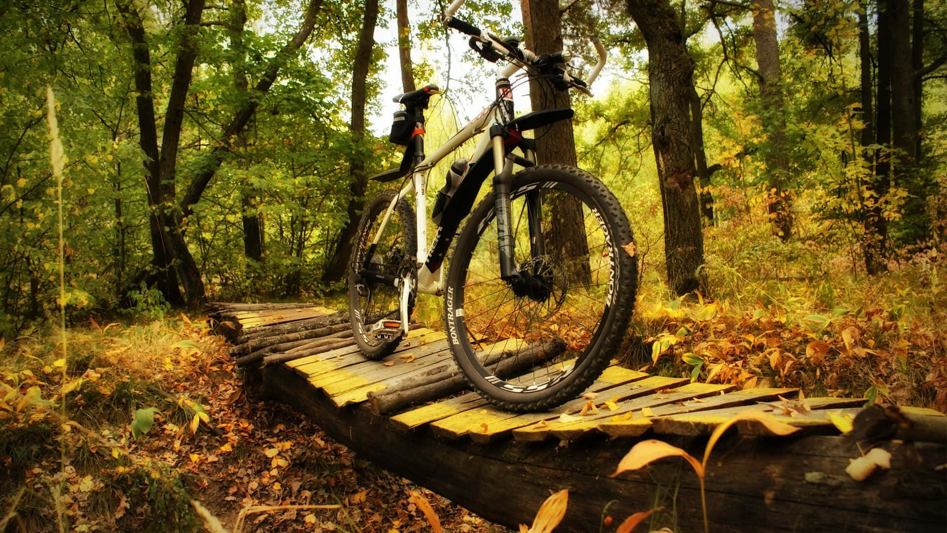 Mtb 桌布 壁紙 — 一輛山地單車停放在一條充滿陽光嘅森林中、被秋葉環繞嘅質樸木橋上。