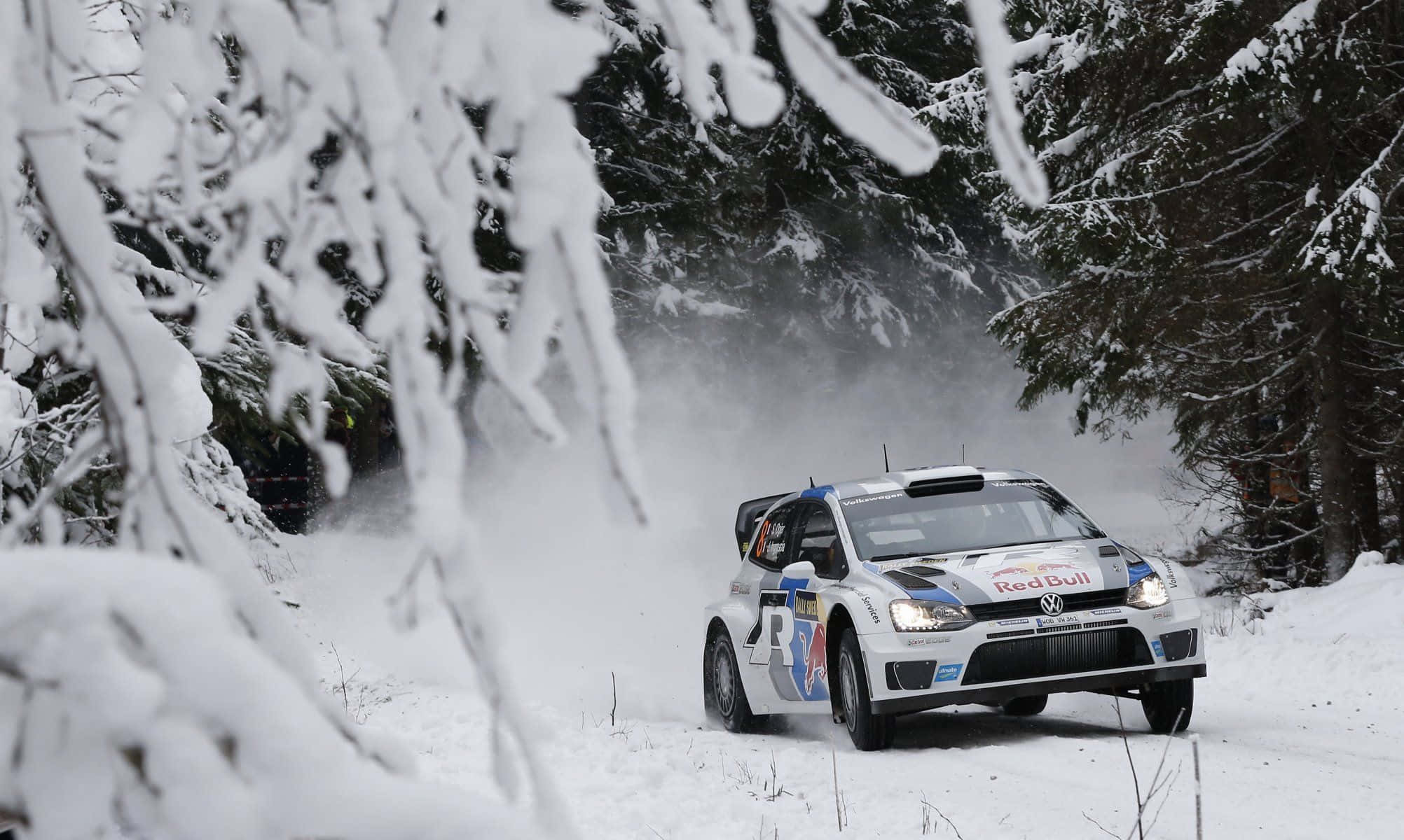 Ice Racing 桌布 壁紙 — 一輛帶有Red Bull標誌的白色拉力賽車在雪地森林小徑上飛馳，揚起雪花。