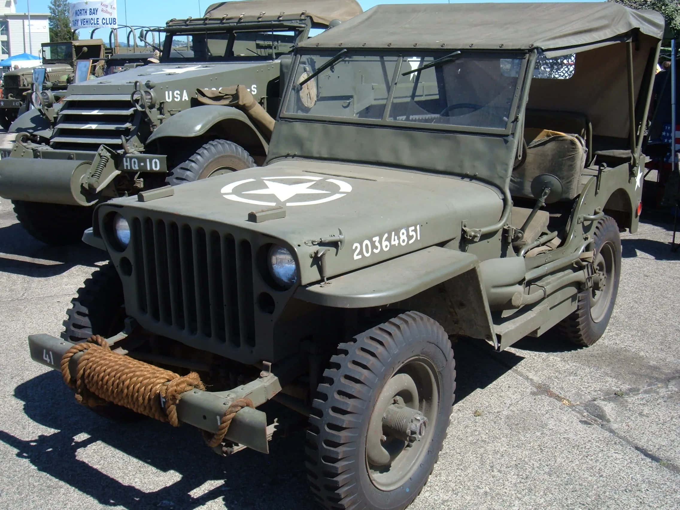 Jeep Willys 桌布 壁紙 — 一輛帶有白色星星和編號20364851的復古橄欖綠軍用吉普車，在車輛俱樂部活動中停放在明亮的陽光下。