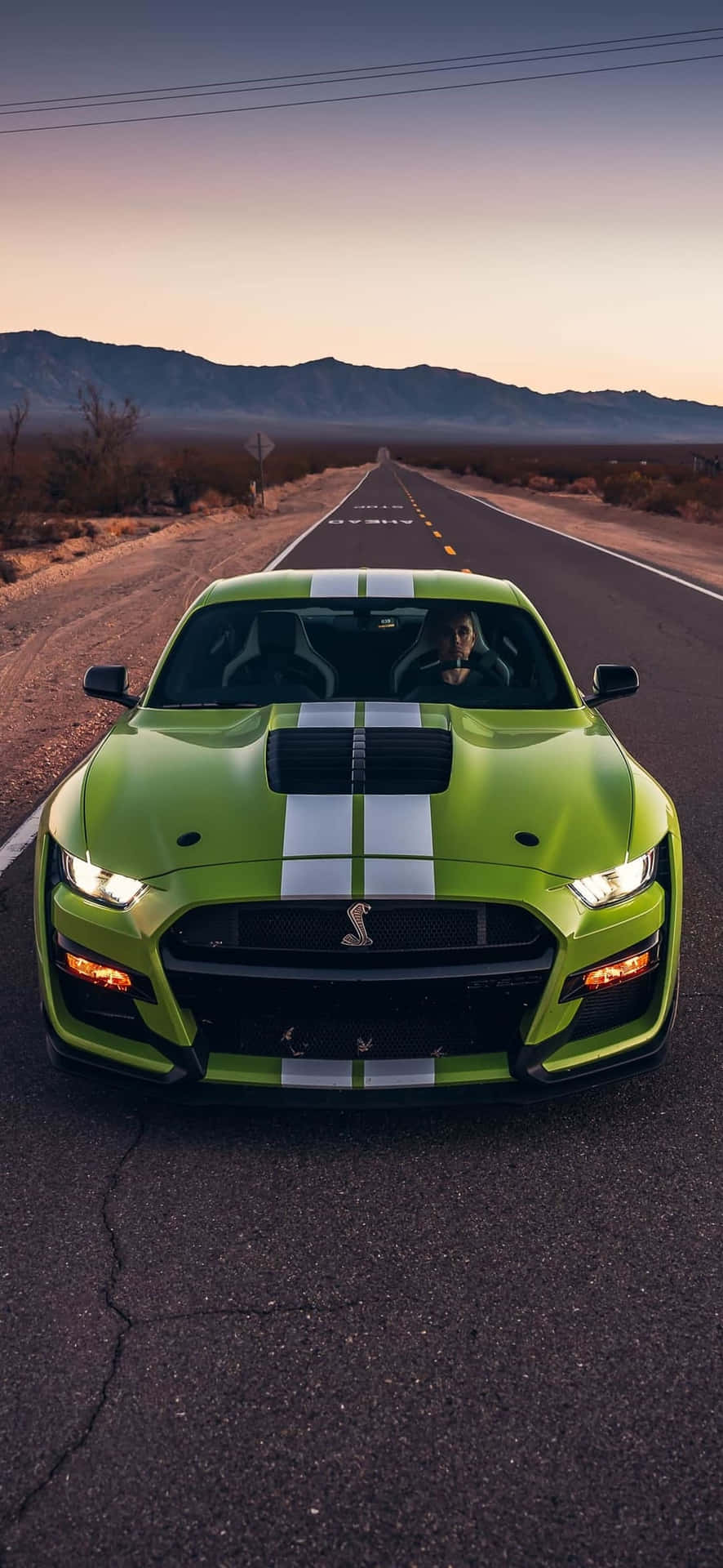  壁紙 — 一輛帶有白色條紋的鮮綠色Shelby Mustang在日落時分行駛在沙漠公路上，遠處有山巒。
