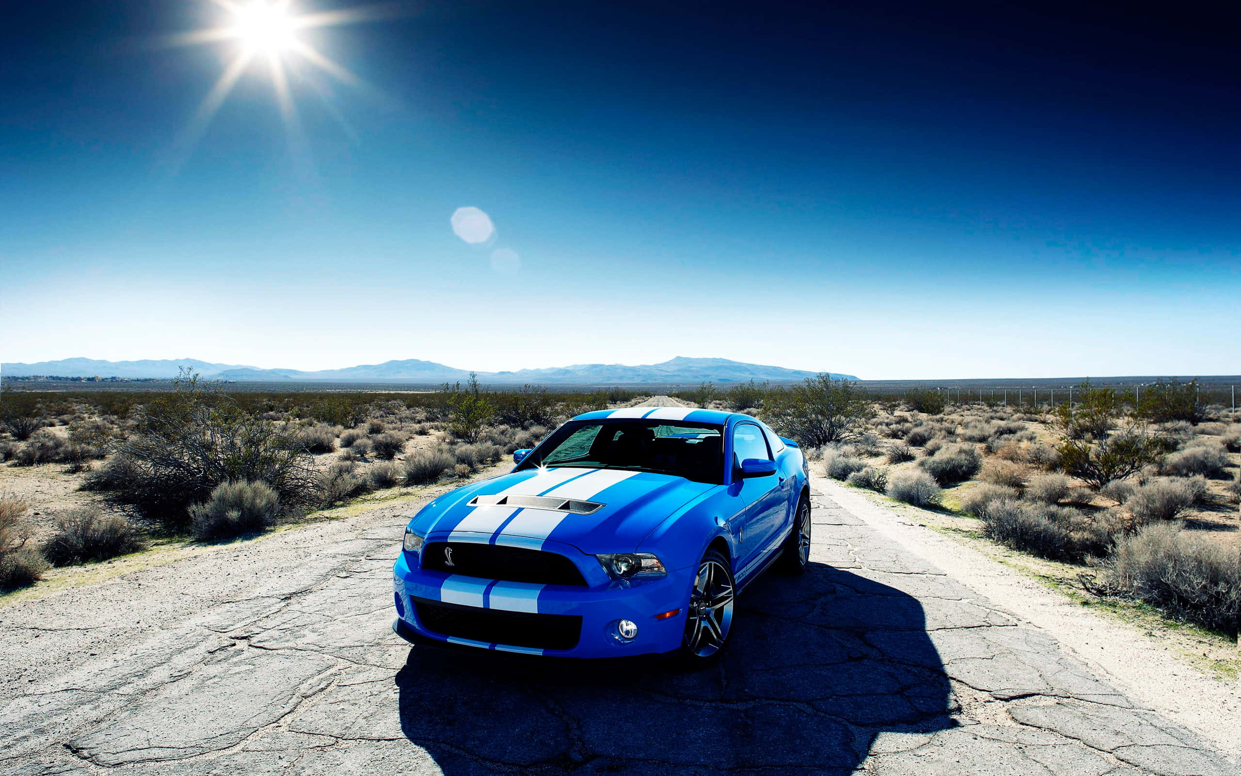 野馬 桌布 壁紙 — 一輛帶有白色賽車條紋的充滿活力的藍色Shelby Mustang停在烈日下龜裂的沙漠道路上。