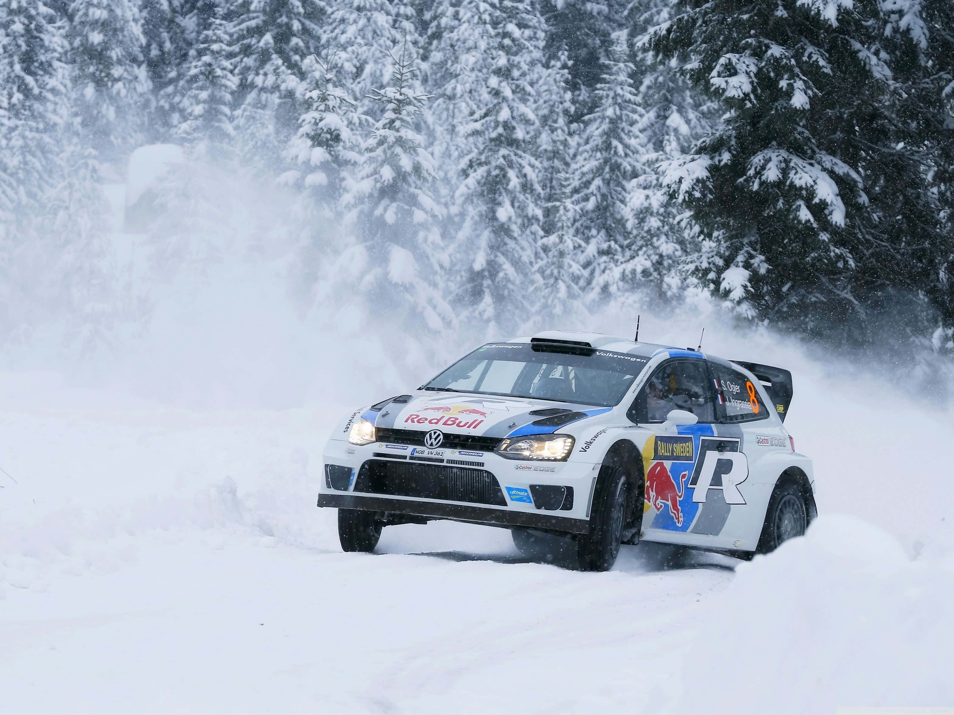 Ice Racing 桌布 壁紙 — 一輛帶有紅牛塗裝的白色拉力賽車在雪林間疾馳，揚起粉雪，雪花在周圍飄落。