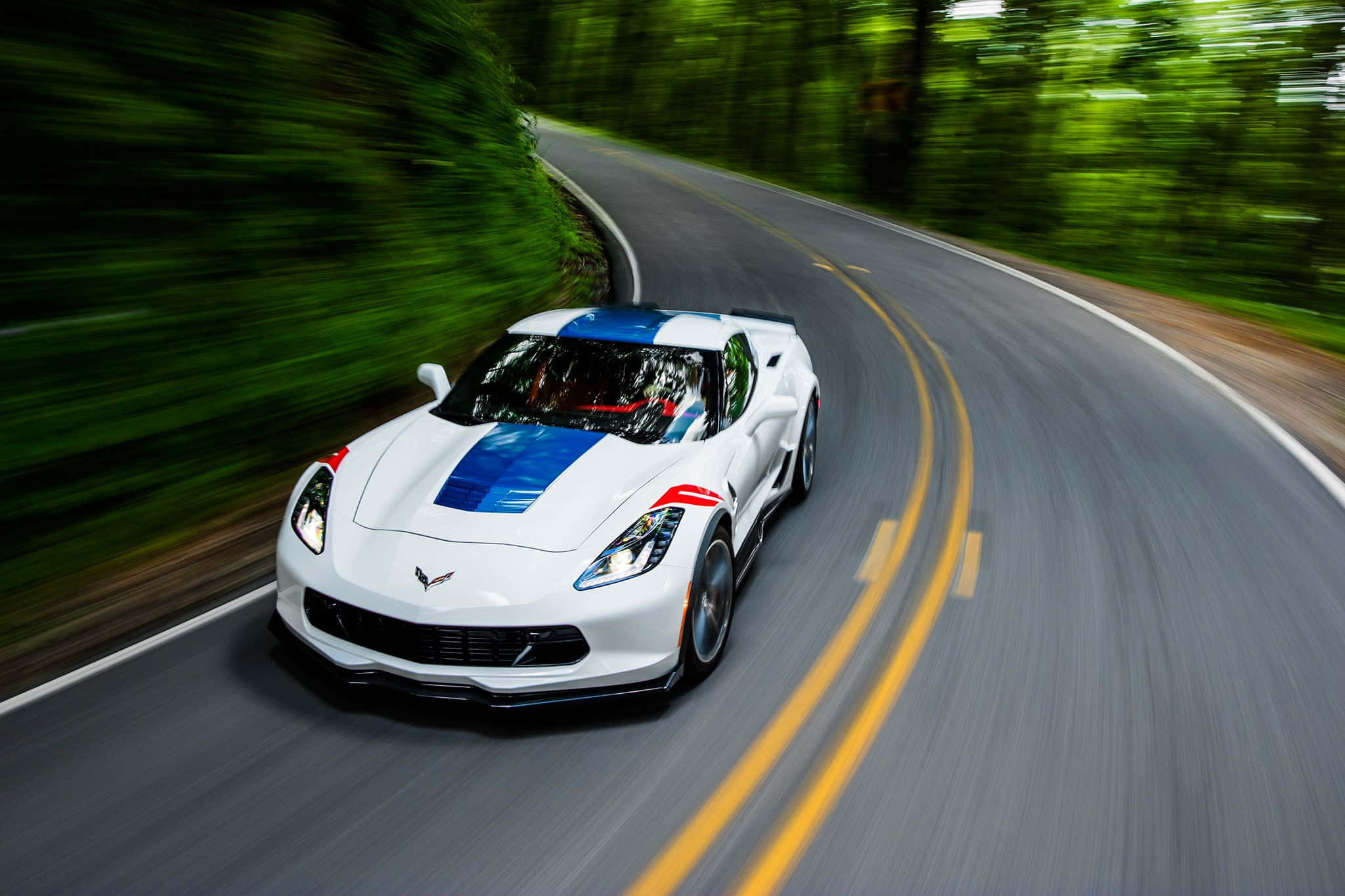 Chevrolet Corvette Grand Sport 桌布 壁紙 — 一輛帶有藍色和紅色賽車條紋的白色Corvette在蜿蜒的森林道路上疾馳，帶有動態模糊效果。