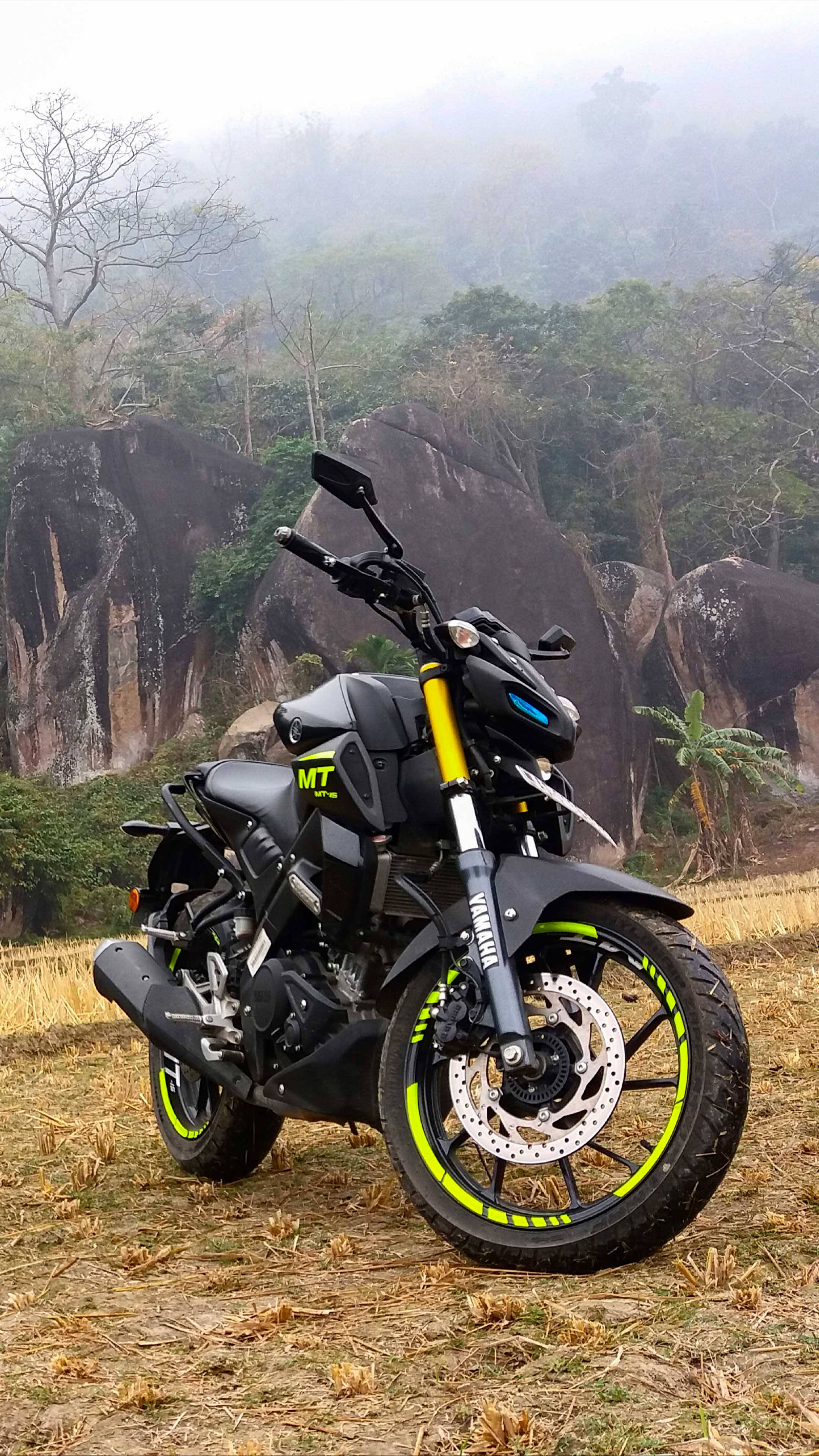 yamaha mt 15 桌布 壁紙 — 一輛帶有螢光綠色點綴的黑色電單車，立於乾草上，背景是霧氣籠罩的岩石山丘和稀疏樹木。
