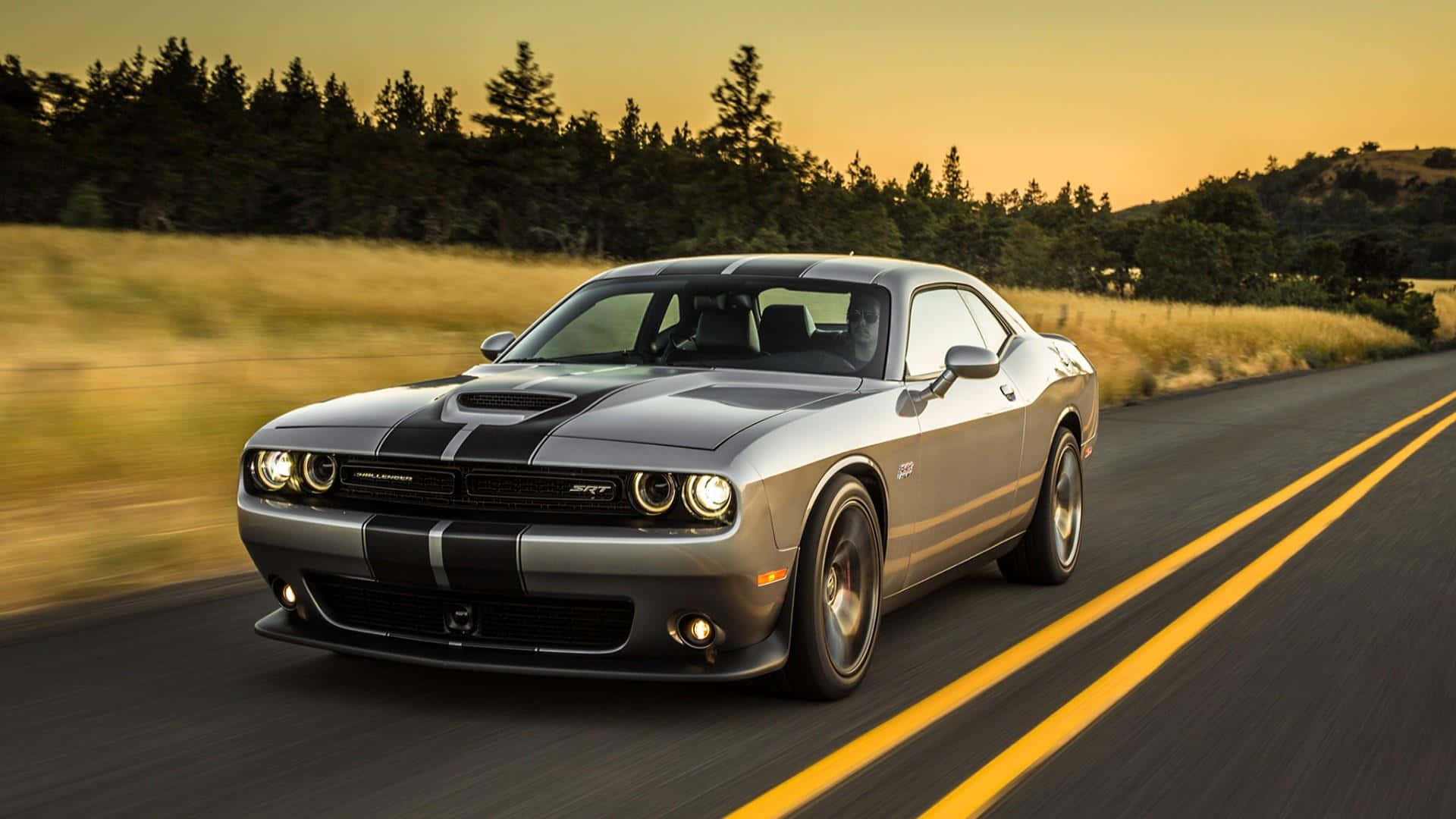 Dodge Charger 桌布 壁紙 — 一輛帶有黑色條紋的銀色 Dodge Challenger SRT 在黃金時段沿著蜿蜒的道路飛馳，背景是模糊的草地和樹木。