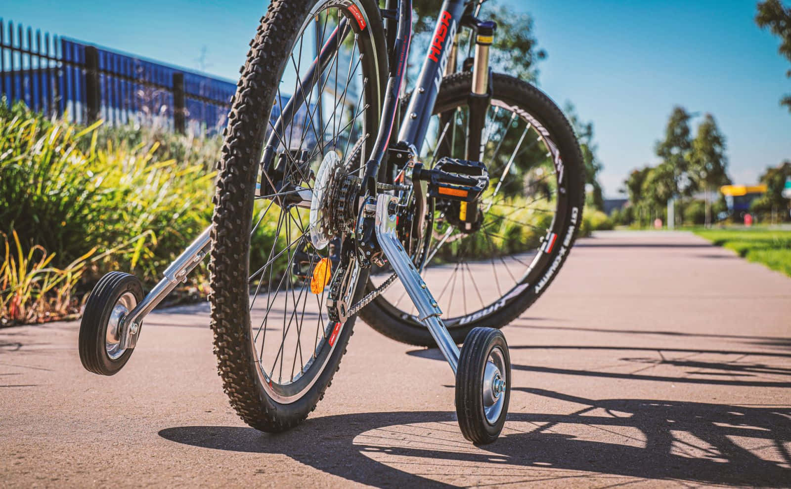 Bicycle 桌布 壁紙 — 一輛帶輔助輪的山地車的特寫，停泊在陽光普照的鋪砌小徑旁，旁邊有綠植。