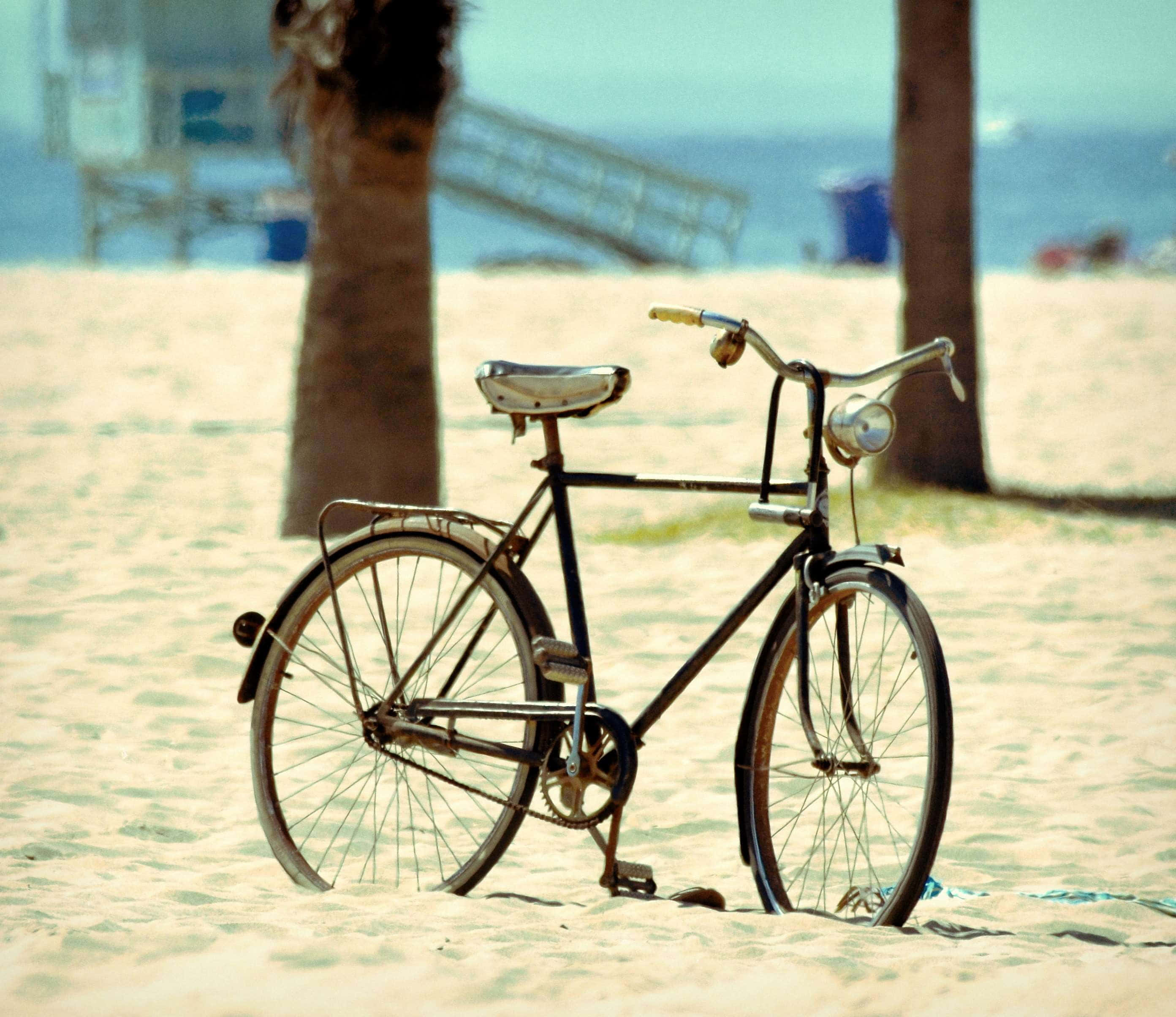 Beach Cruiser 桌布 壁紙 — 一輛復古單車停放在陽光普照的沙灘上，棕櫚樹之間，背景有海洋和救生塔，色調柔和。