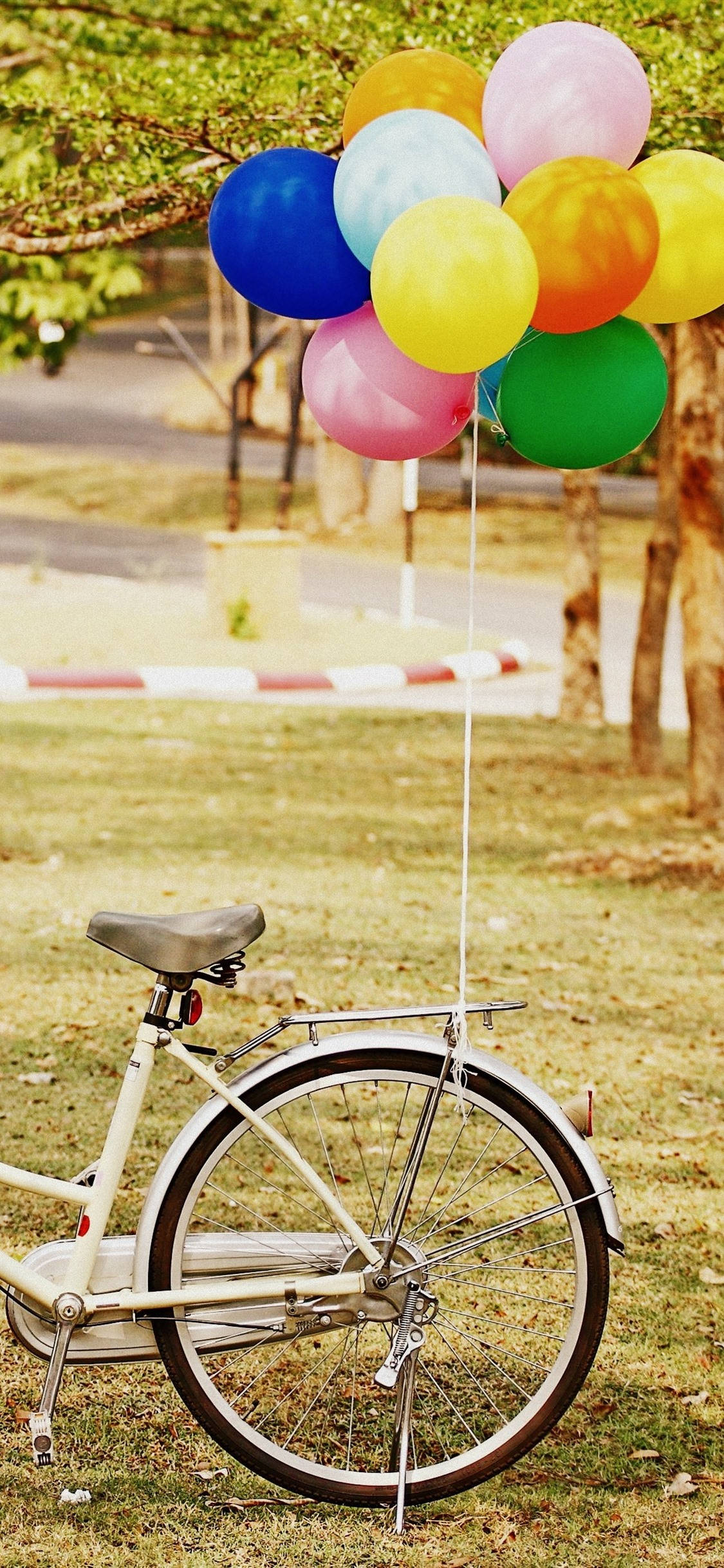 Balloons 桌布 壁紙 — 一輛復古單車停泊在草地上，車把上繫著一簇色彩繽紛的氣球，上方是枝葉茂密的樹木。