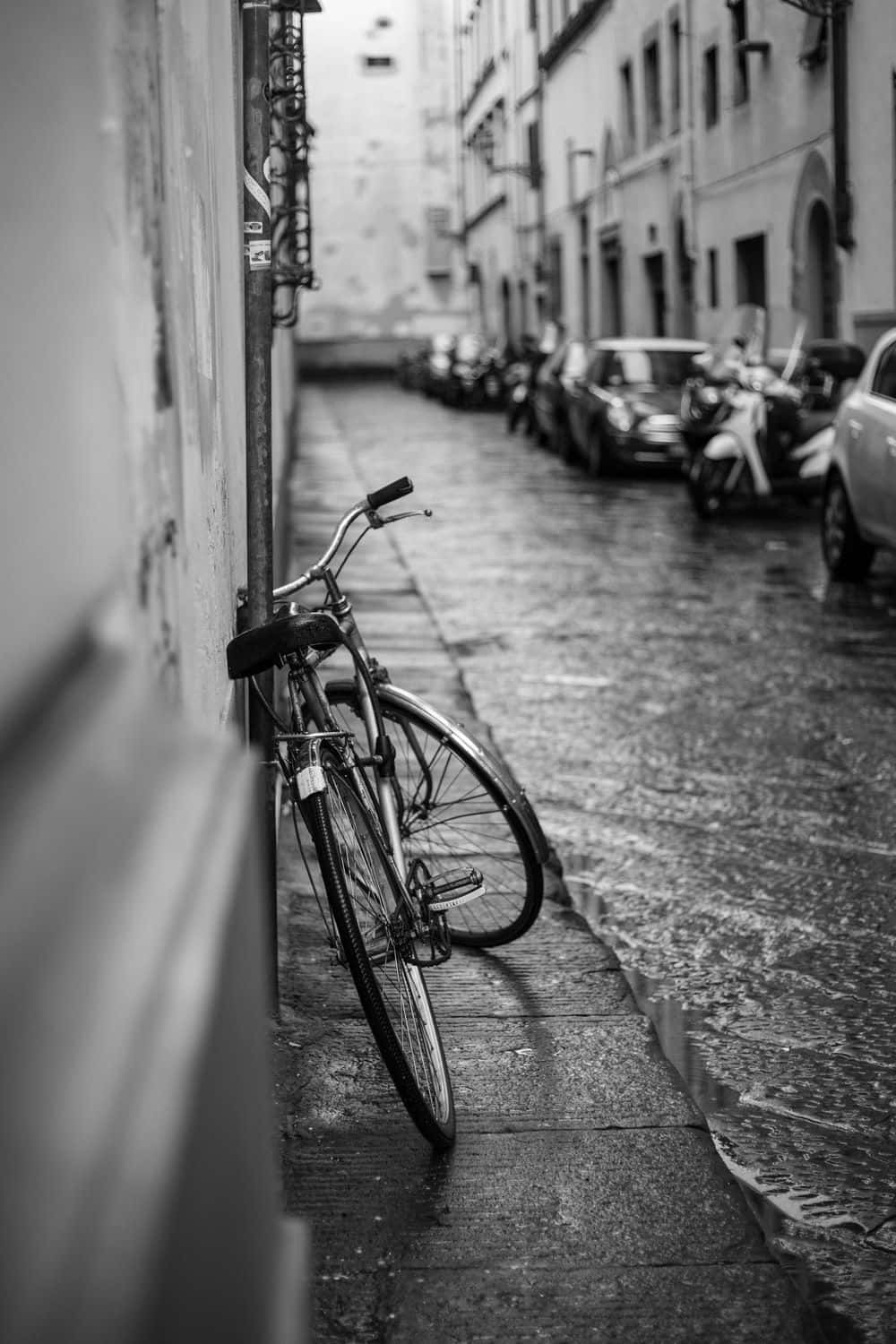 Black And White Street 桌布 壁紙 — 一輛復古單車在雨後靠著潮濕的牆壁，位於狹窄的歐洲小巷中。