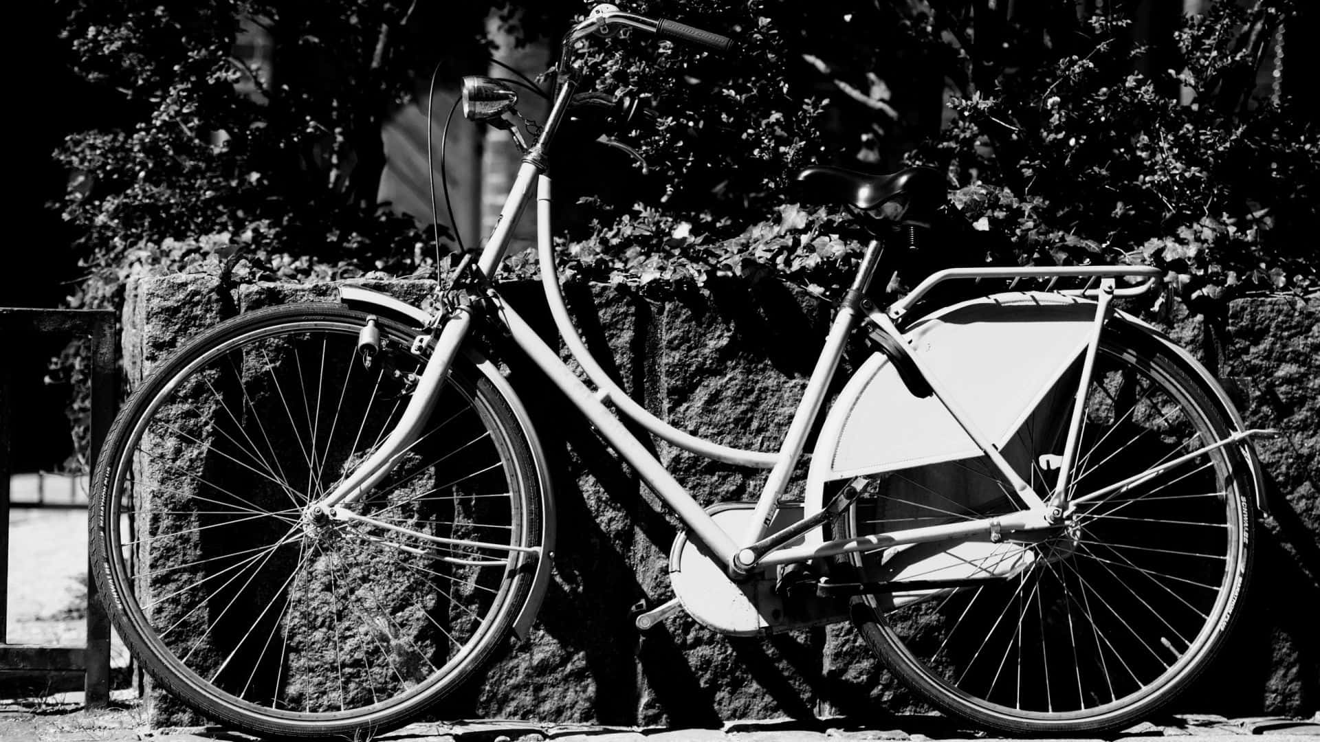 Vintage Black And White 桌布 壁紙 — 一輛復古單車靠喺石牆上，有樹葉，高對比黑白。