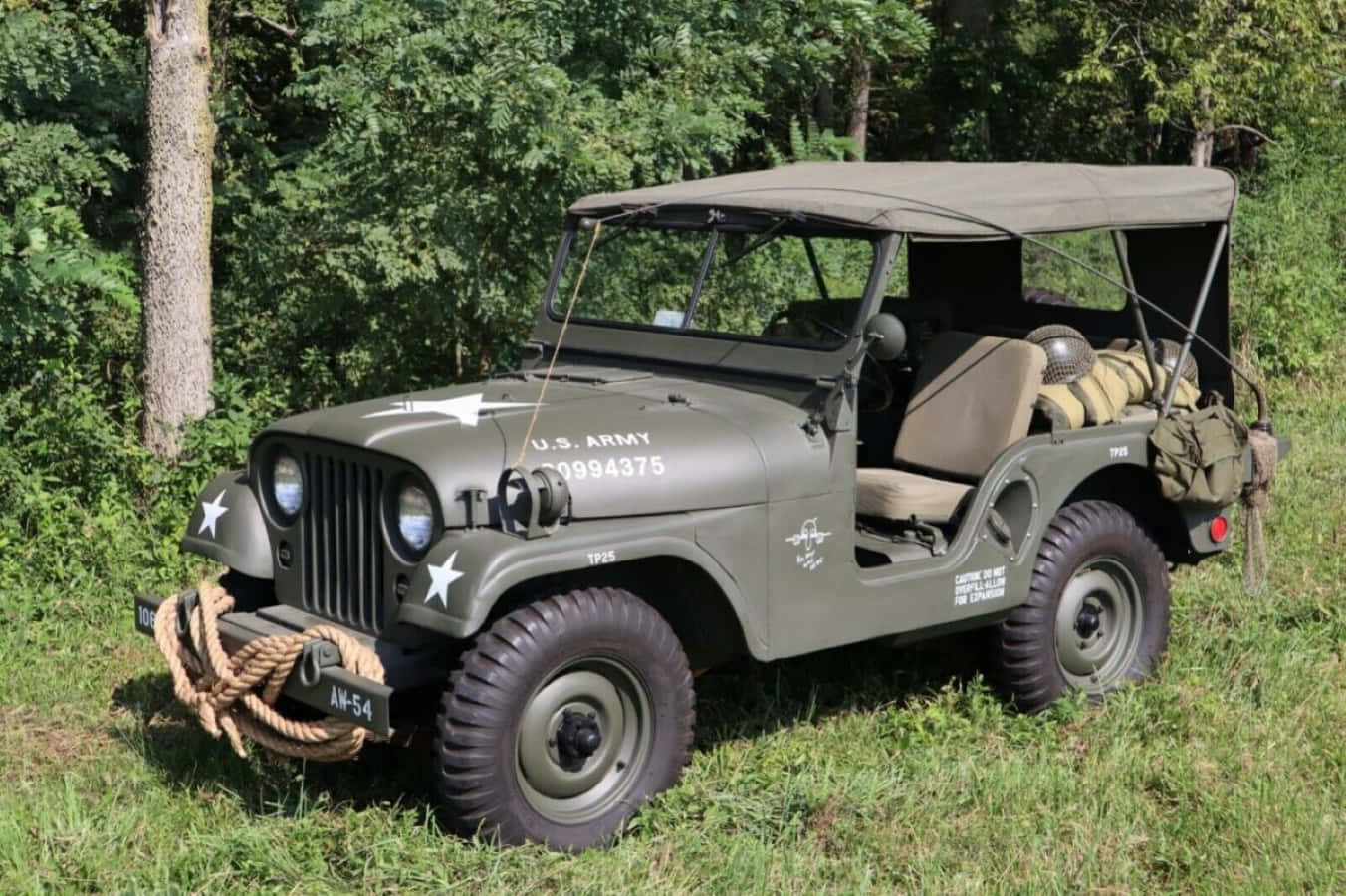 Jeep Willys 桌布 壁紙 — 一輛復古橄欖綠的美國陸軍吉普車，帶有白色星星和軍事裝備，停放在陽光明媚、長滿青草的森林空地中。