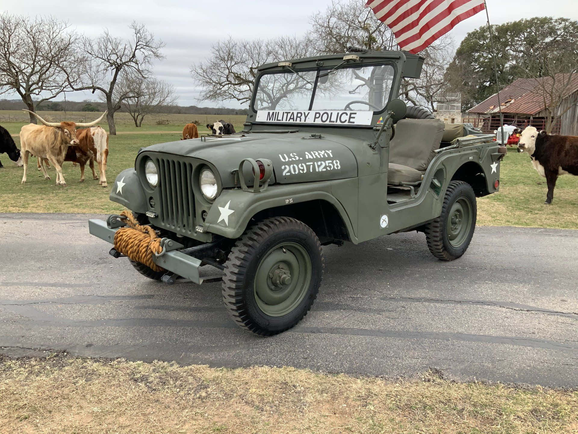 Jeep Willys 桌布 壁紙 — 一輛復古橄欖綠的美國陸軍憲兵吉普車停在鄉間道路上，附近有長角牛在陰天吃草。
