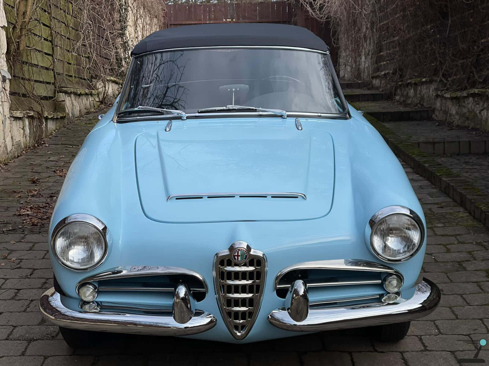 Alfa Romeo Spider 桌布 壁紙 — 一輛復古淺藍色Alfa Romeo開篷車，帶有鍍鉻裝飾，停在石牆旁的鵝卵石小徑上。