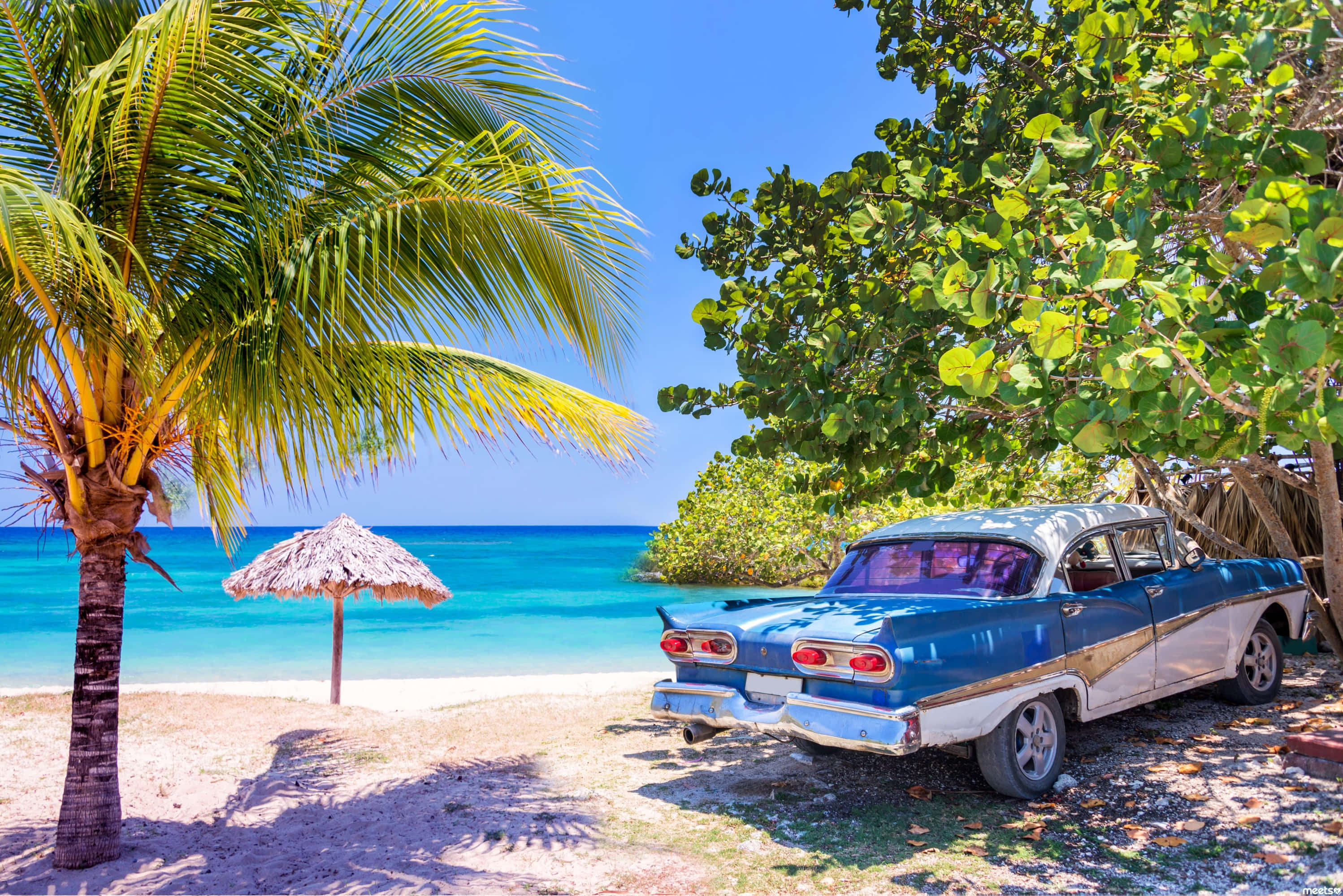 Cuba 桌布 壁紙 — 一輛復古藍白色汽車停泊在茂密綠樹下，旁邊是碧綠海灘，設有茅草傘和棕櫚樹。