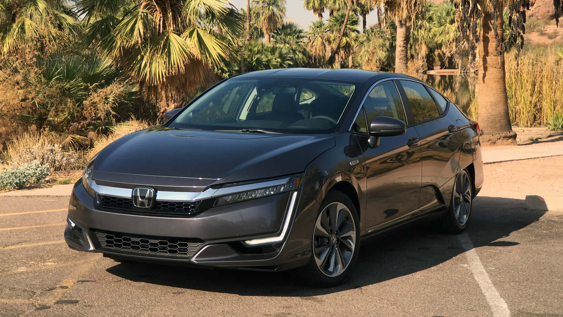 Honda Clarity 桌布 壁紙 — 一輛時尚的深灰色本田轎車停放在陽光明媚的沙漠停車場，周圍環繞著高大的棕櫚樹。