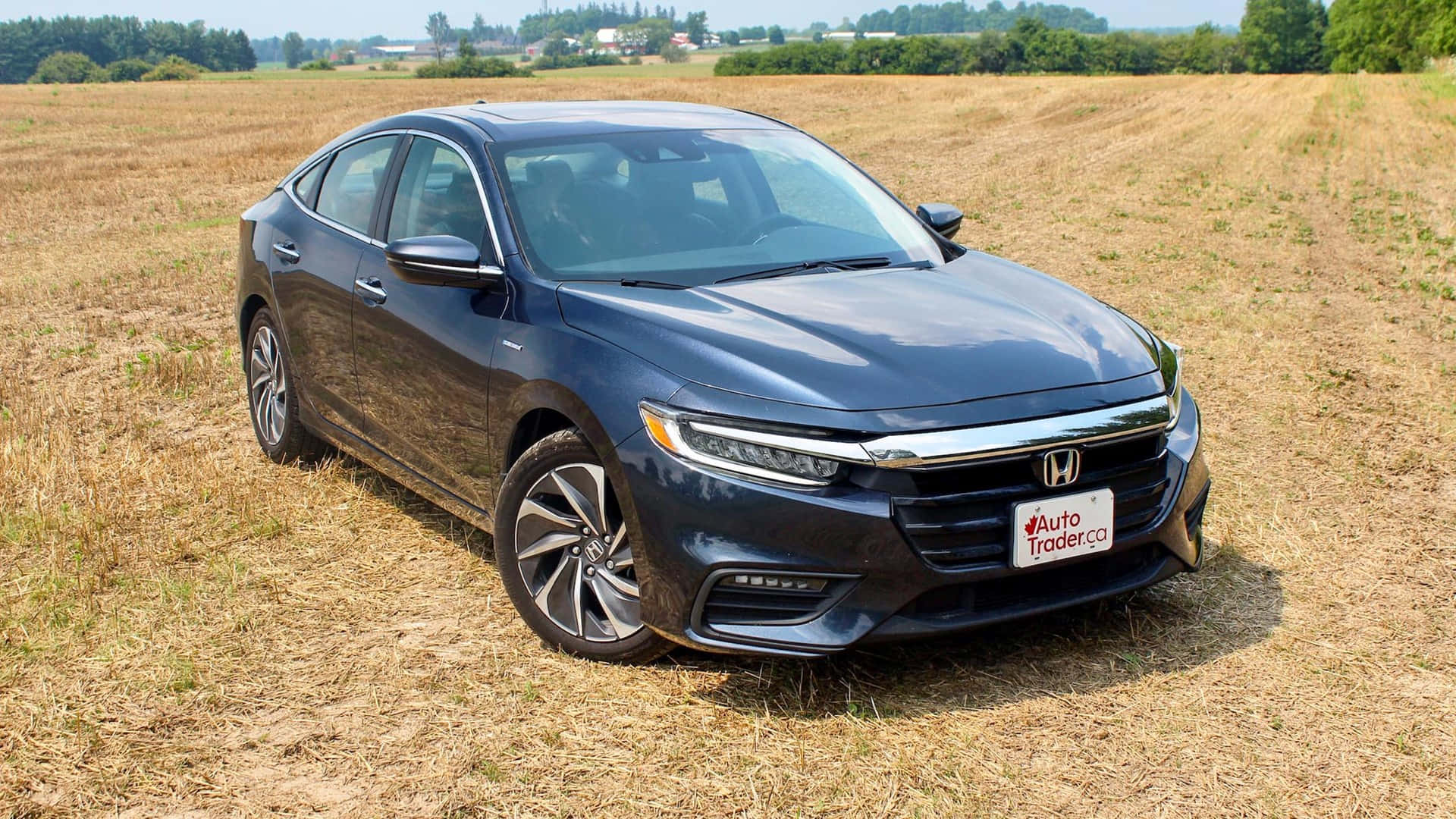 Honda Insight 桌布 壁紙 — 一輛時尚的深藍色本田轎車停在乾燥的草地上，在明亮的日光下。