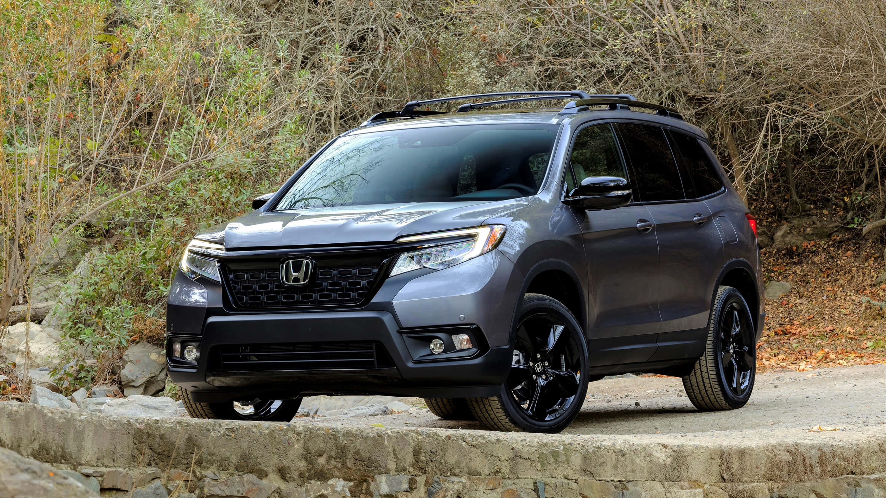 Honda Passport 桌布 壁紙 — 一輛時尚的灰色本田Pilot，帶有黑色飾邊和車頂行李架，停在石徑上，旁邊是乾燥的灌木叢和落葉。